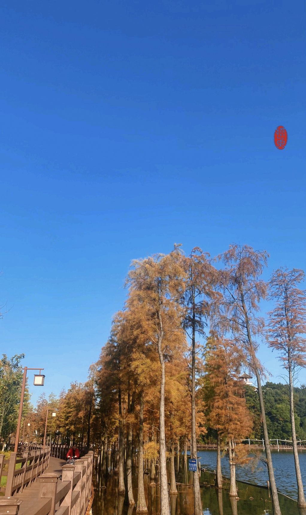 北湖公园旅行图片 1