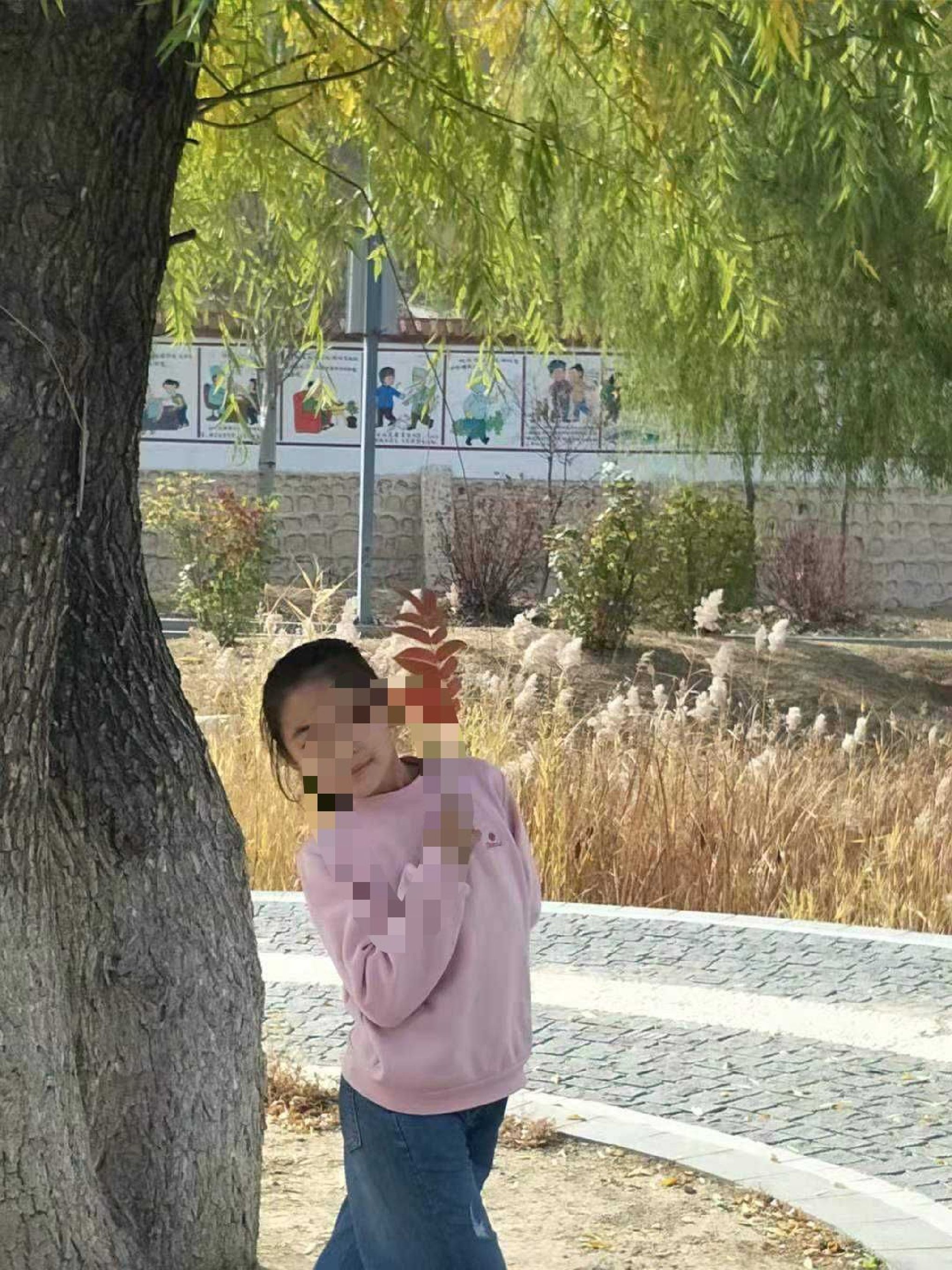 龙岗公园旅行图片 2
