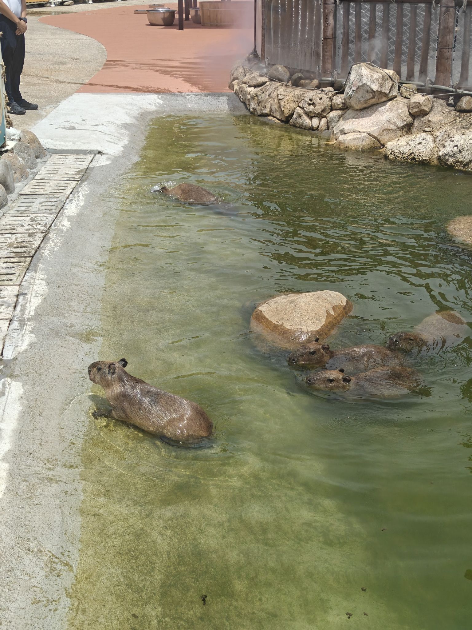上海海昌海洋公园旅行图片 1