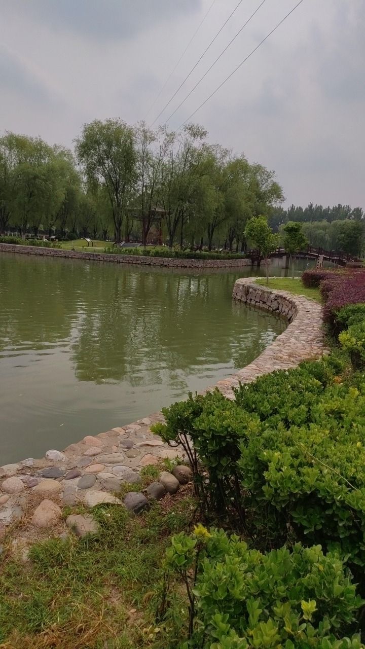 奶东公园旅行图片 2