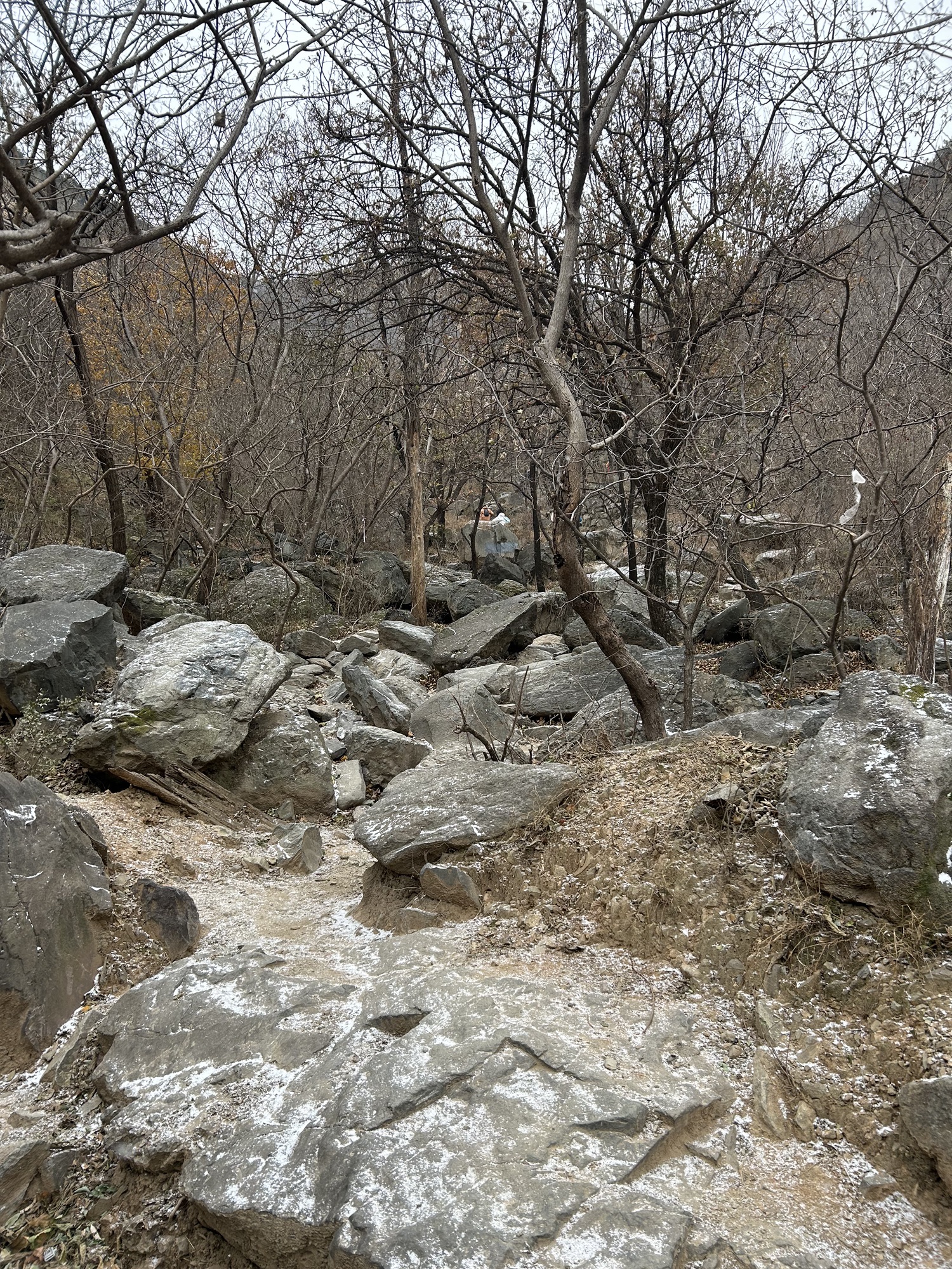 香山好汉坡旅行图片 2