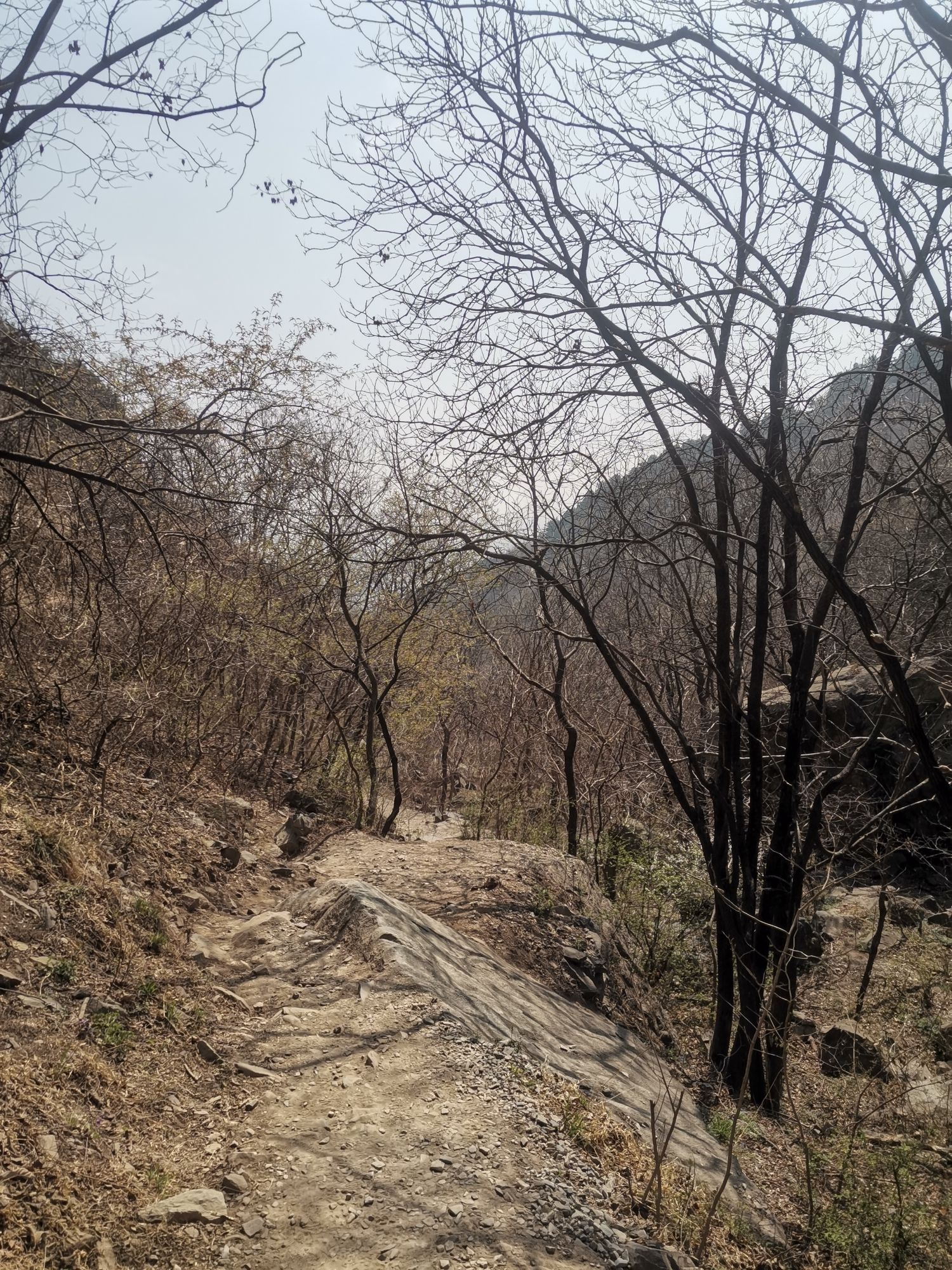 香山好汉坡旅行图片 2