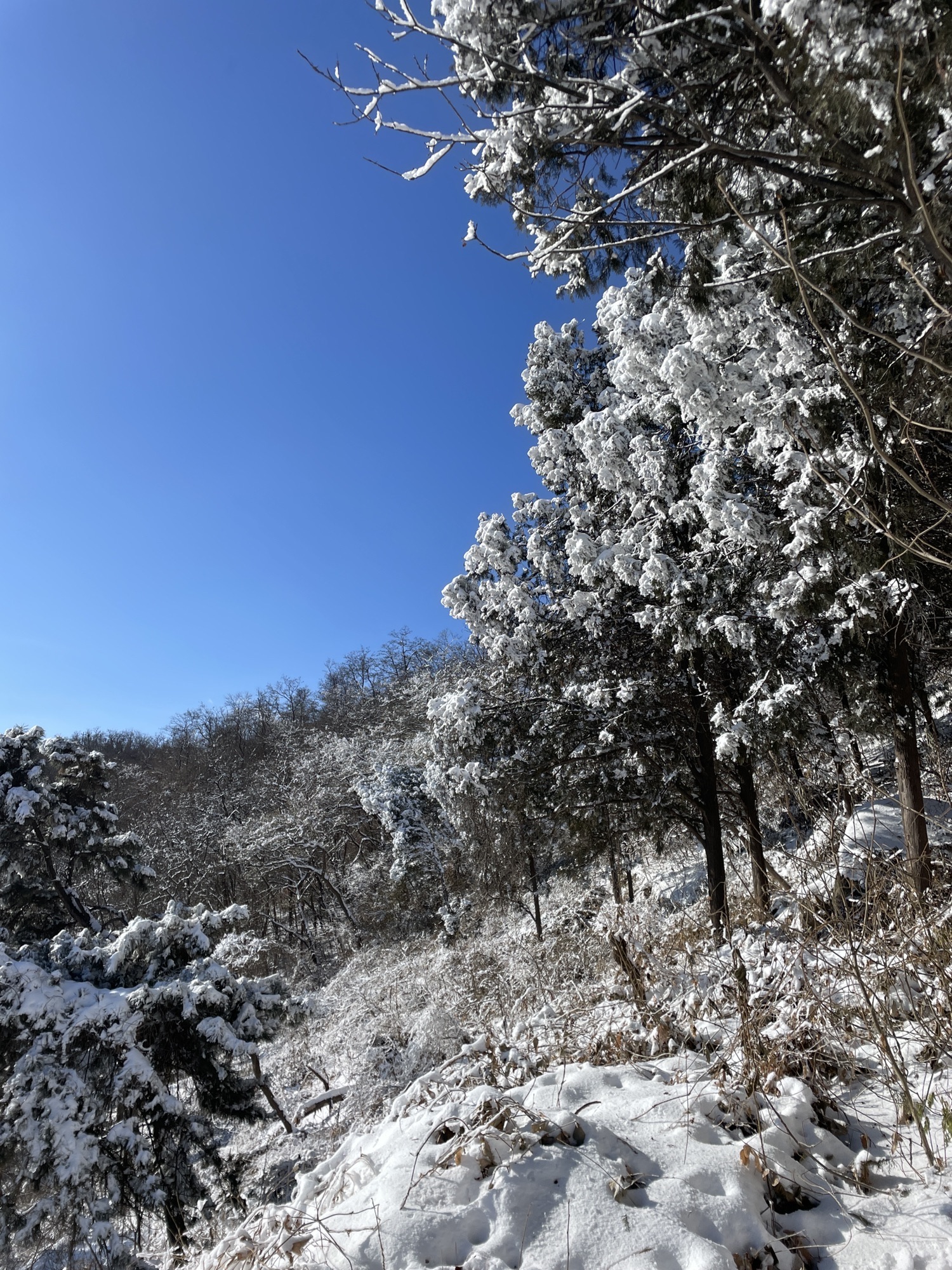 香山好汉坡旅行图片 3
