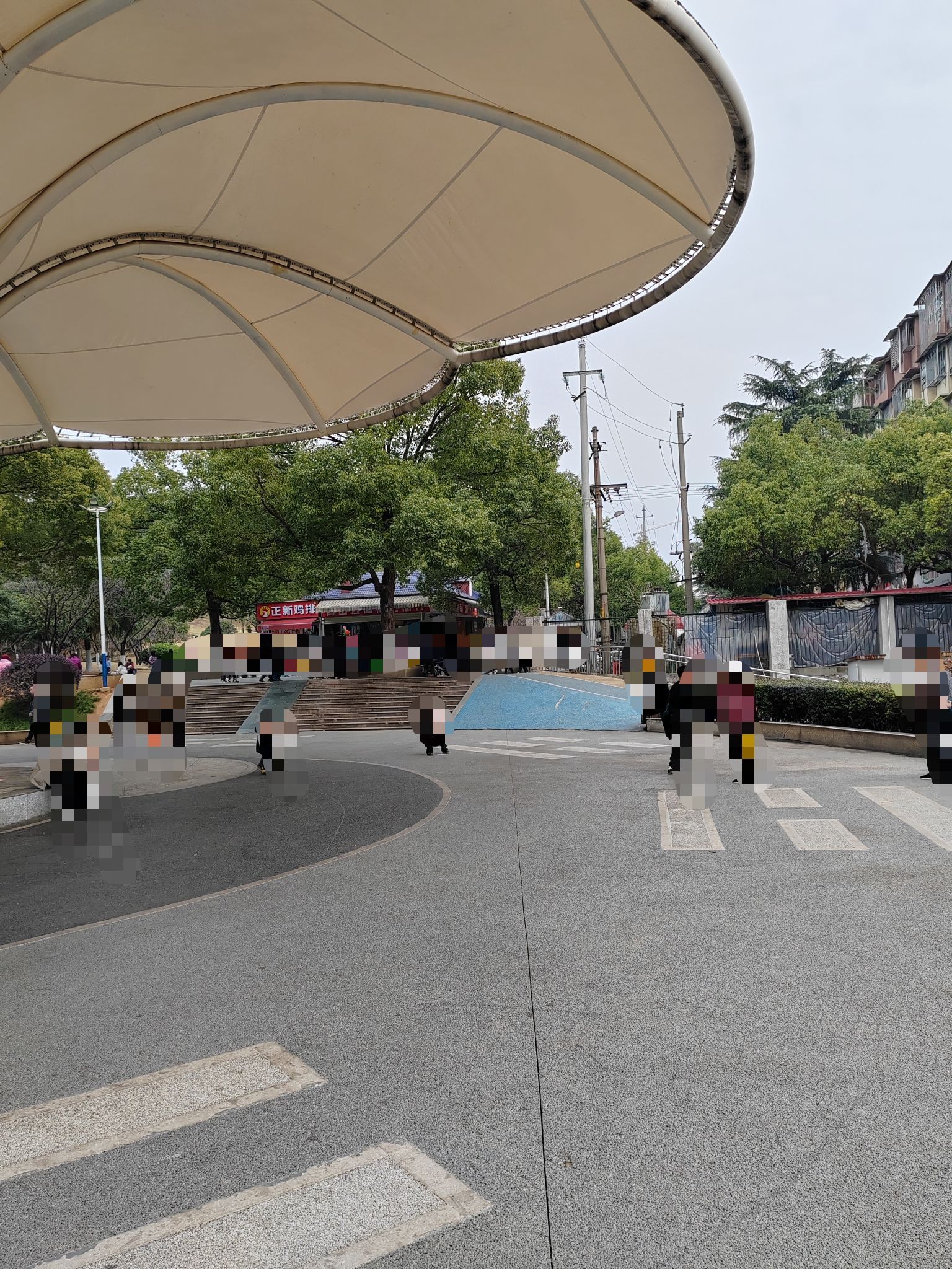 青山公园旅行图片 3