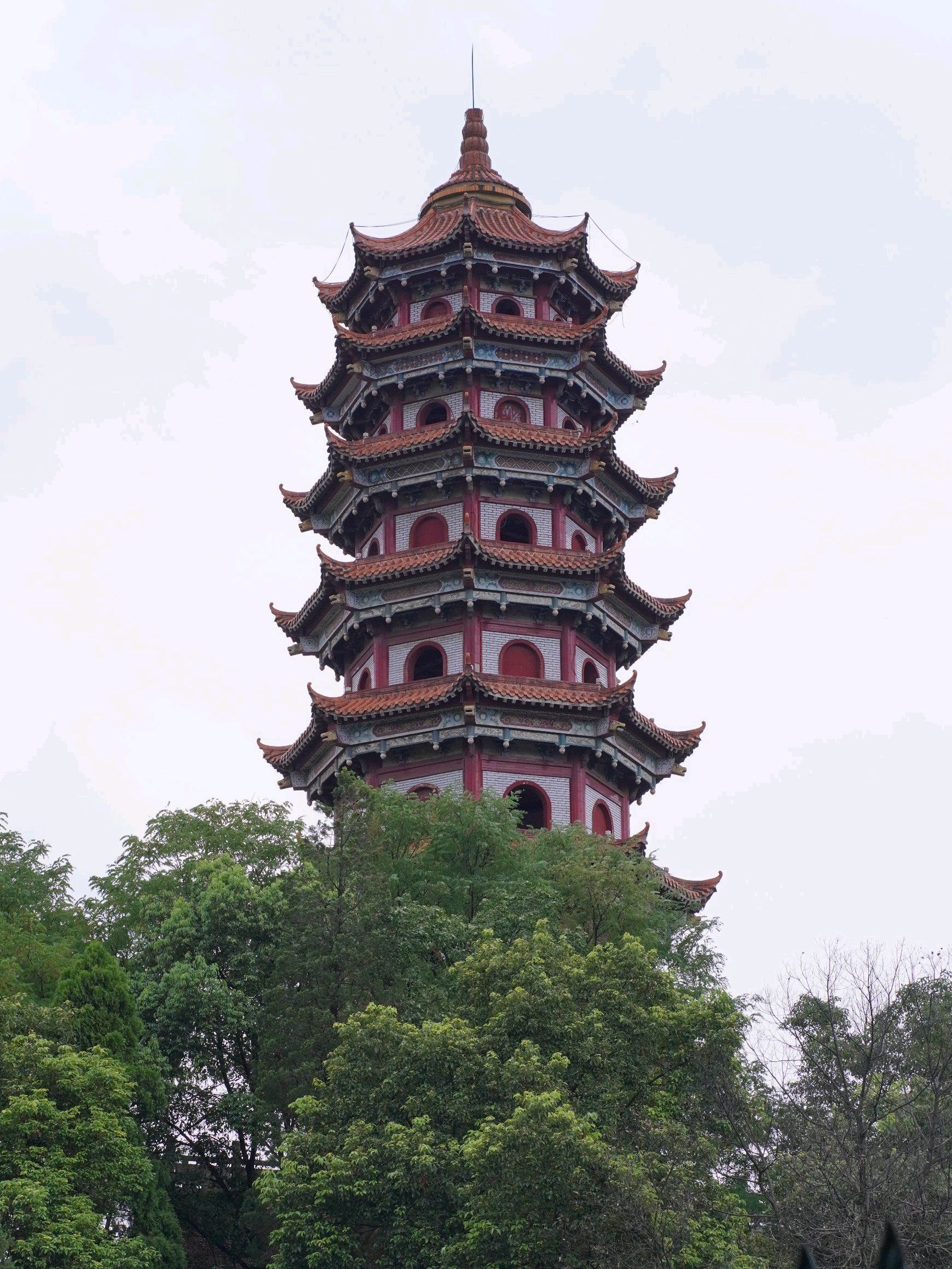 青山公园旅行图片 1