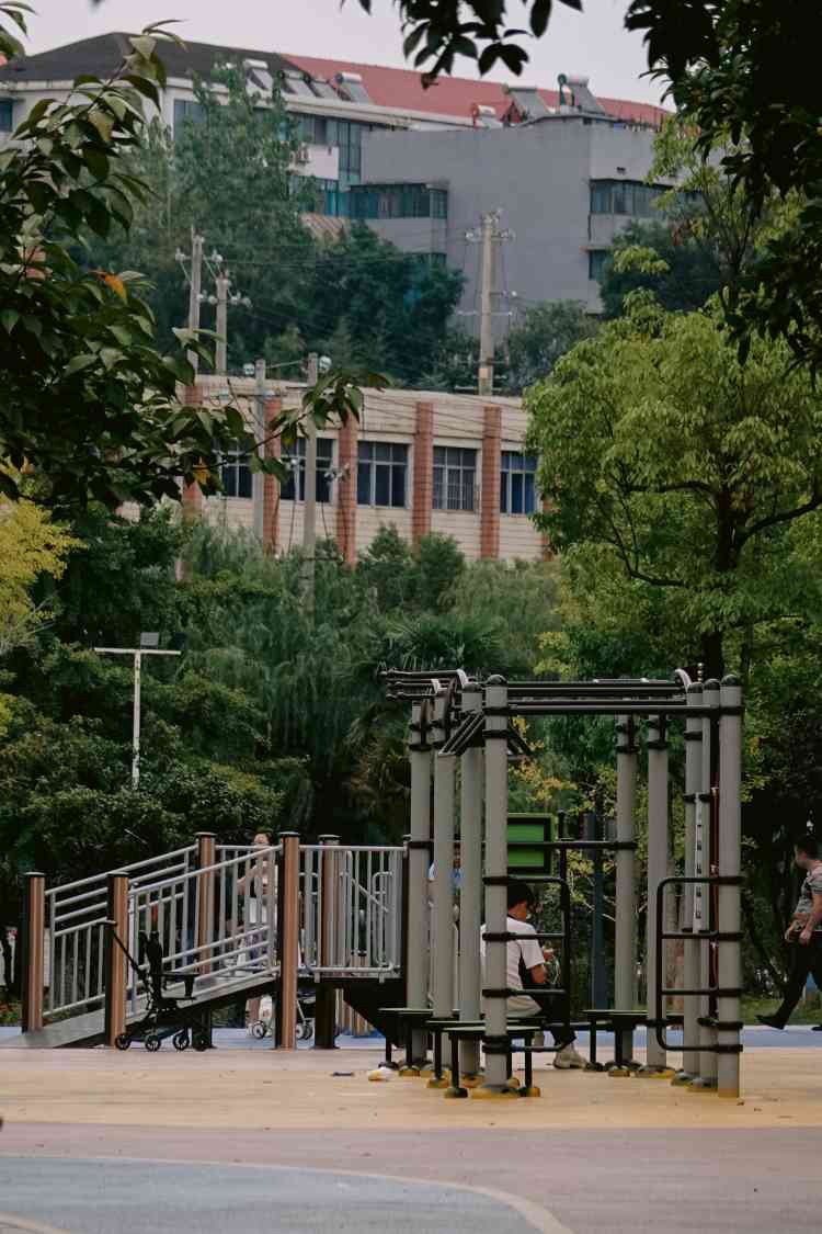 青山公园旅行图片 2
