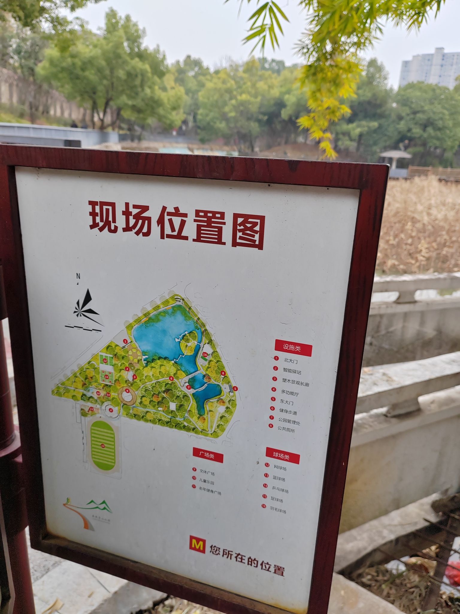 青山公园旅行图片 2