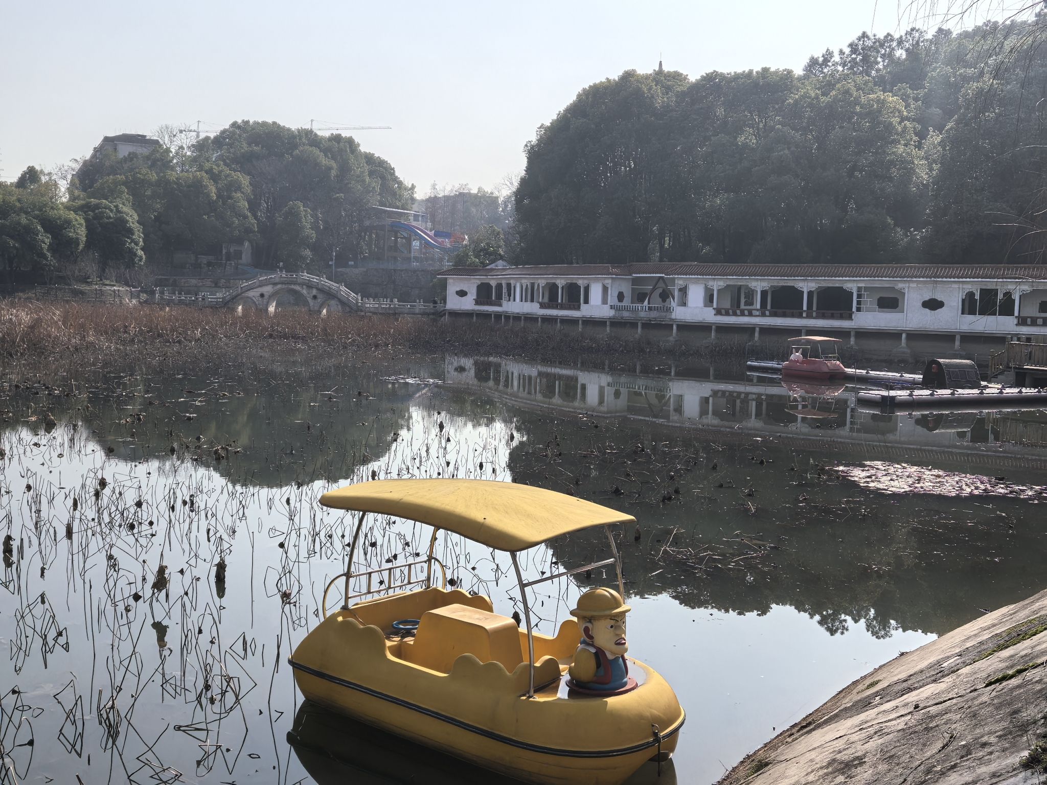 青山公园旅行图片 2