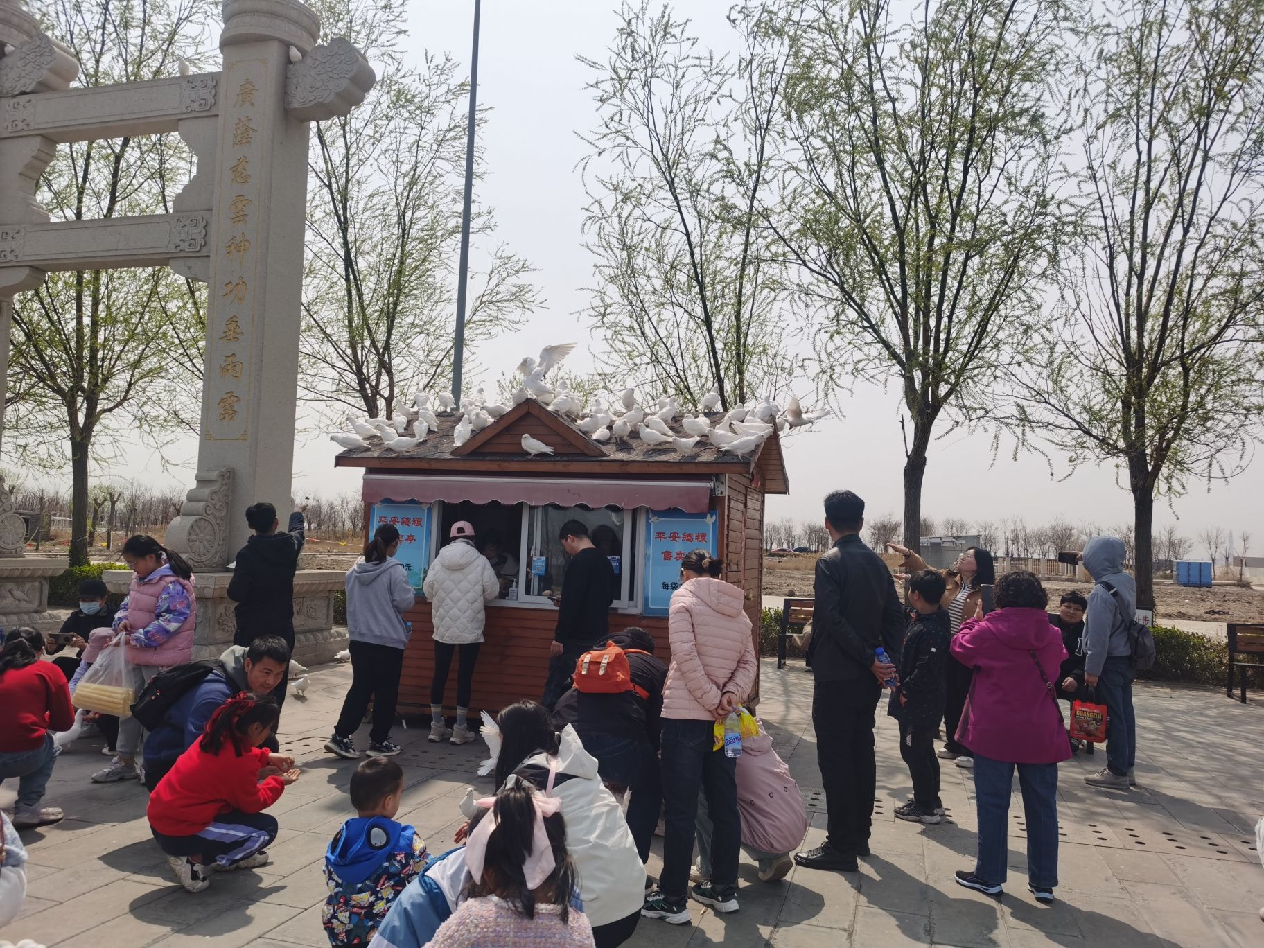 中新生态城妈祖文化园旅行图片 2
