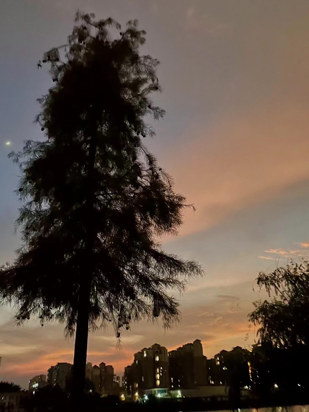 月亮湾广场旅行图片 1