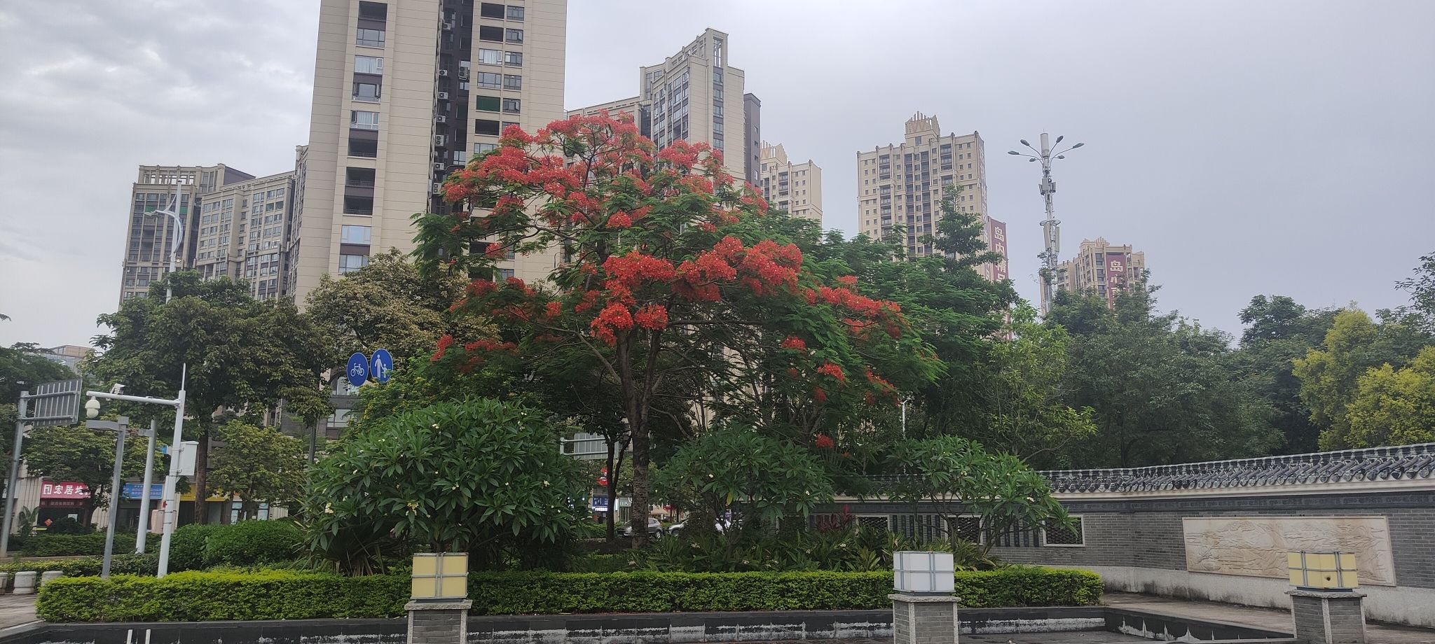 月亮湾广场旅行图片 2