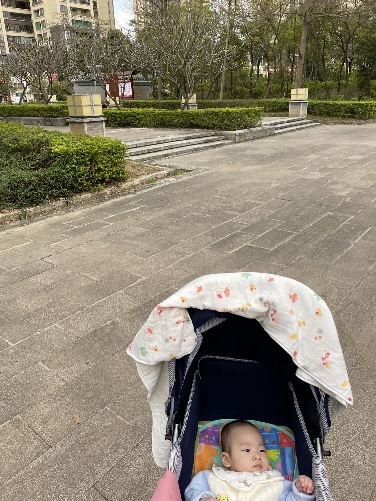 月亮湾广场旅行图片 2