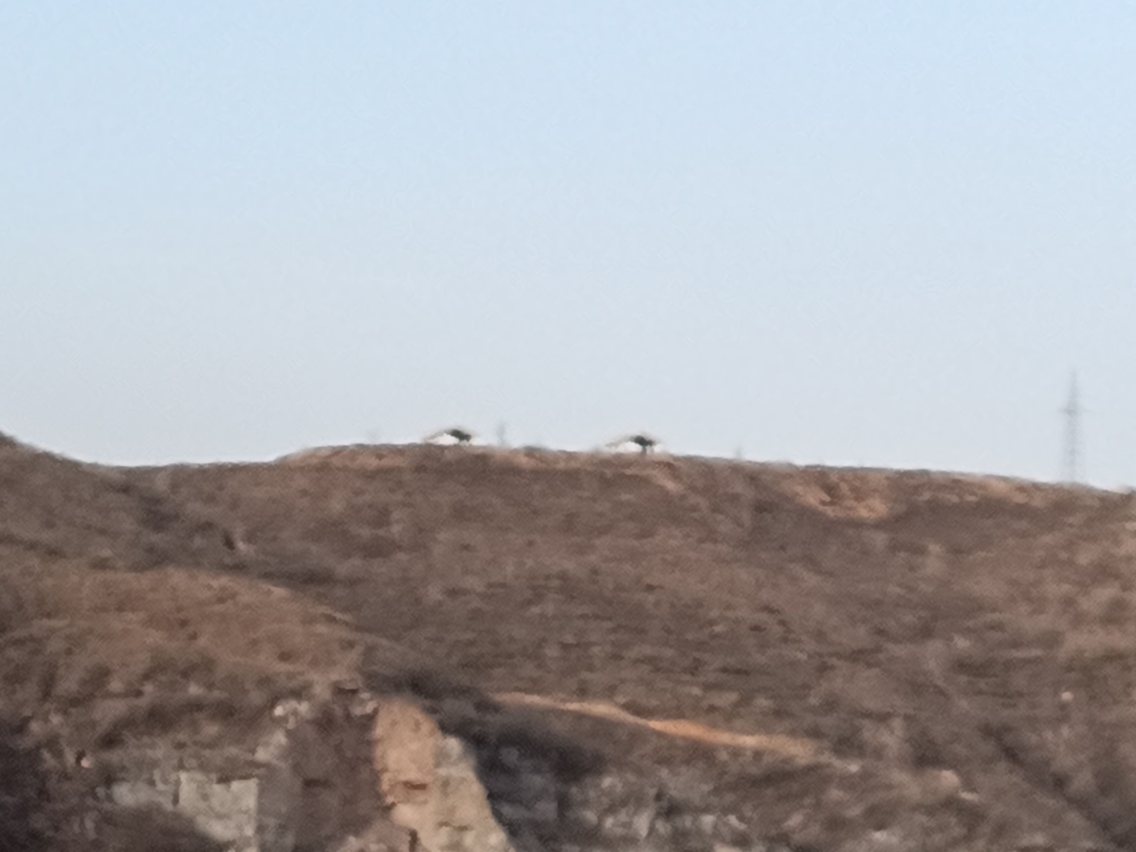 曲沃桥山黄帝文化风景区旅行图片 3