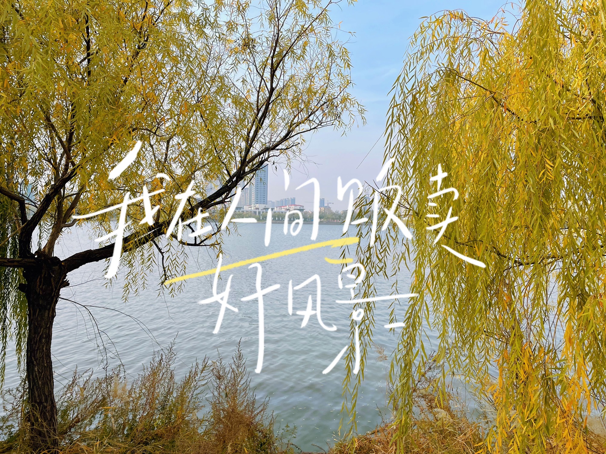 鱼丘湖风景区