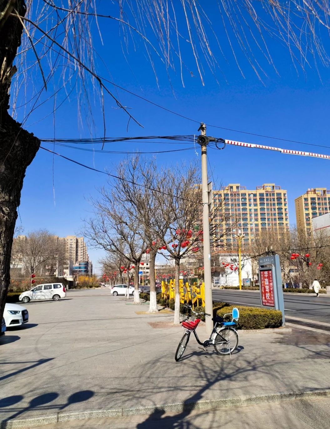 鱼丘湖风景区旅行图片 2