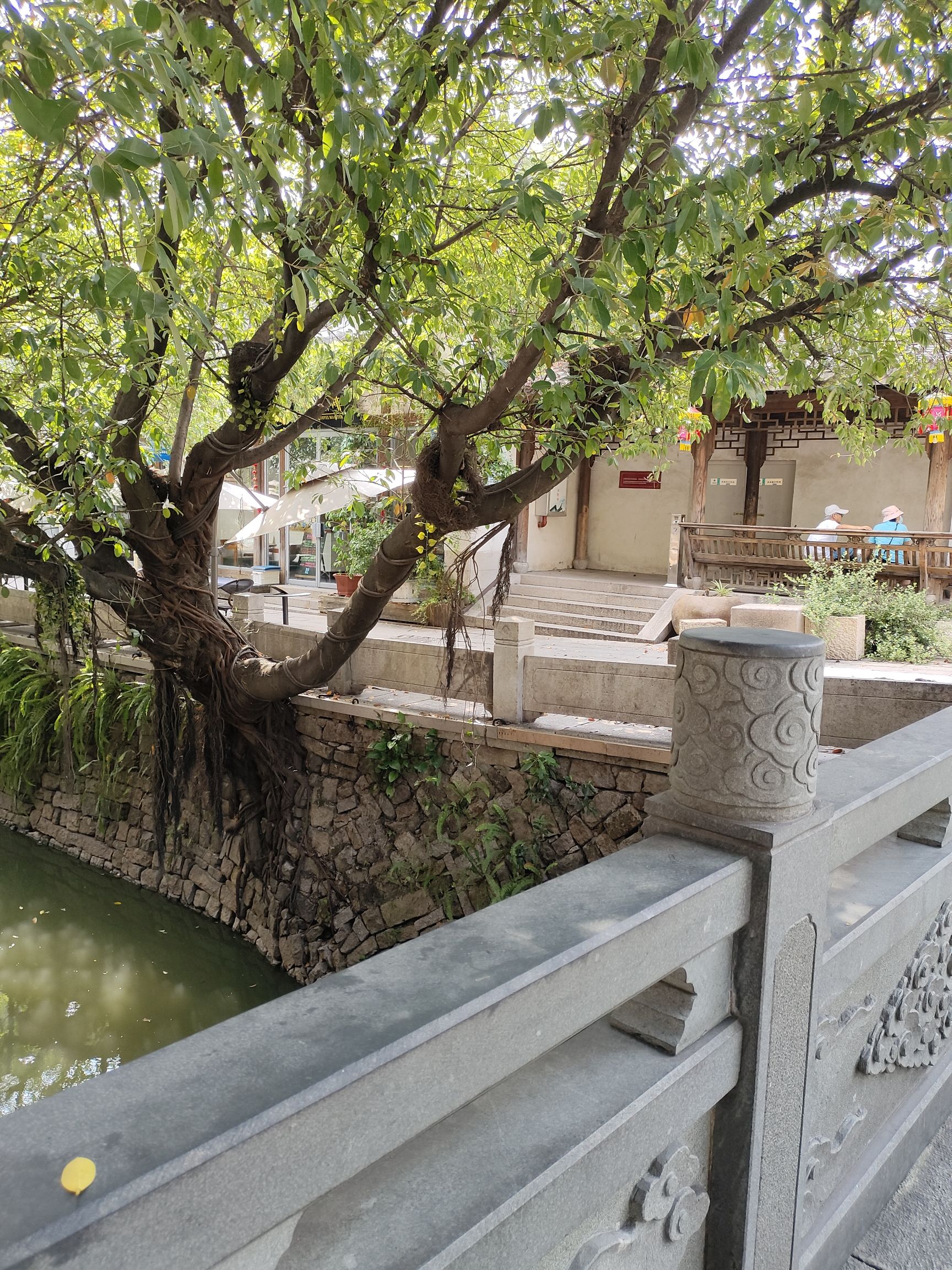 安泰河畔旅行图片 3