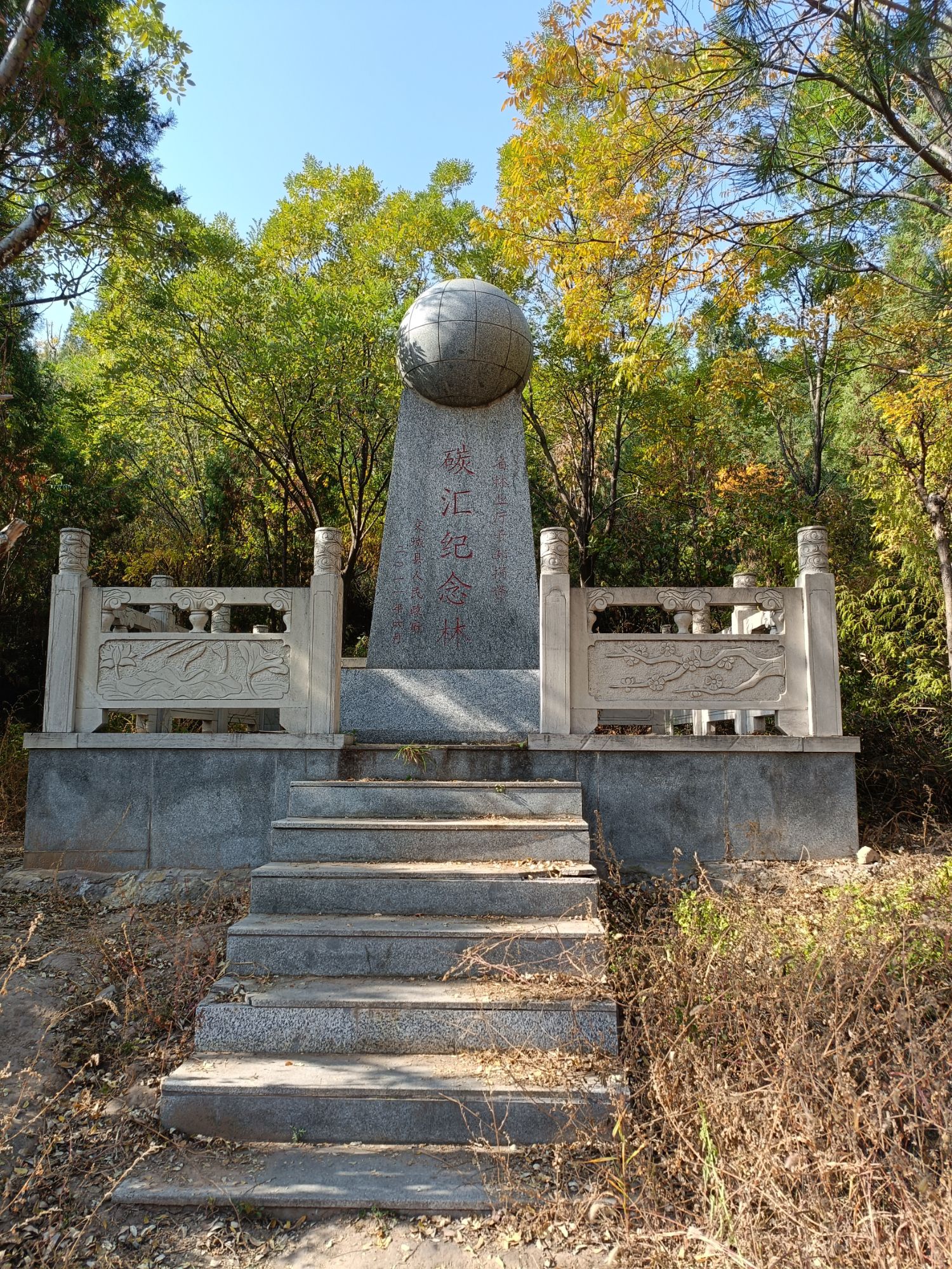 碳汇纪念林旅行图片 1