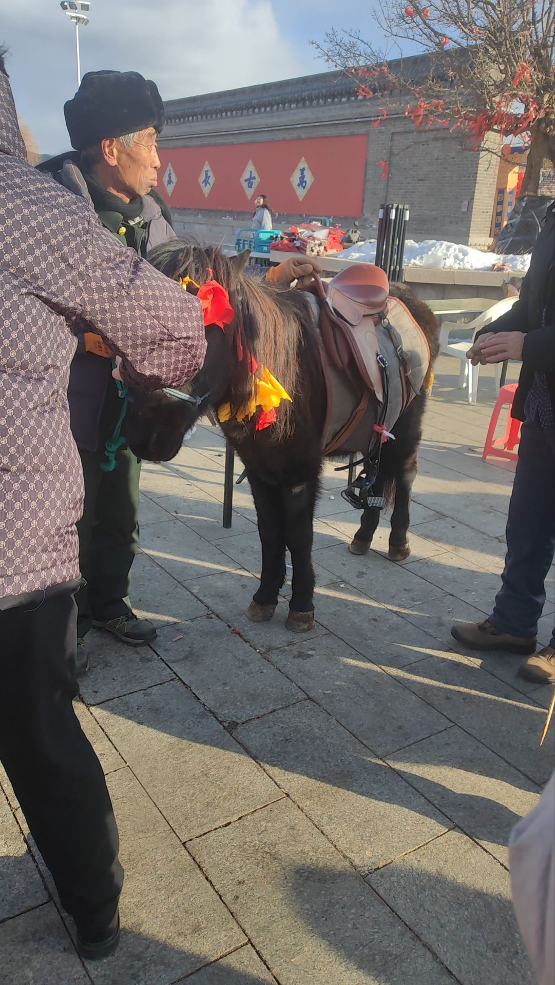 长春湖旅游度假区旅行图片 2