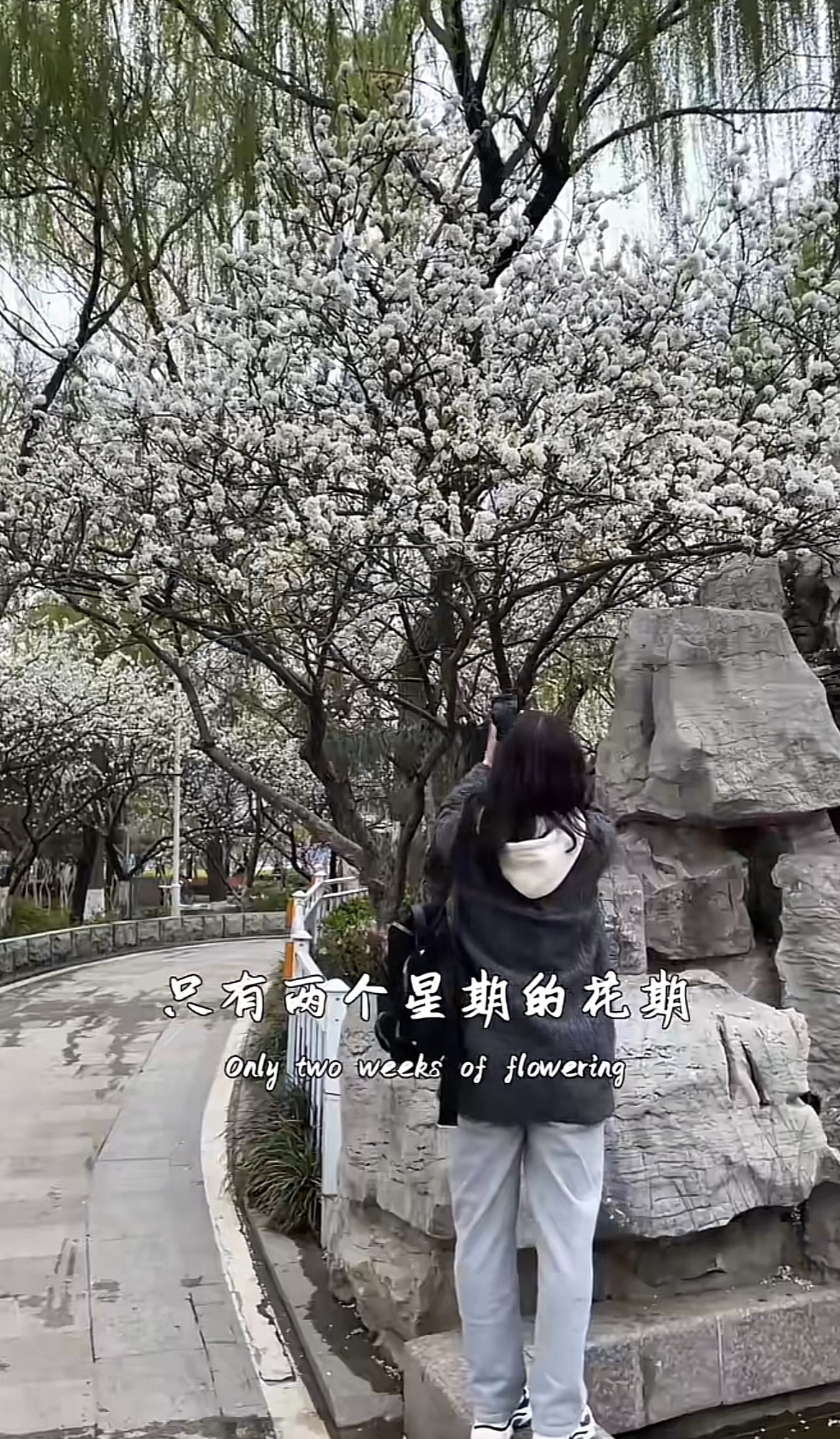 新天地公园旅行图片 1