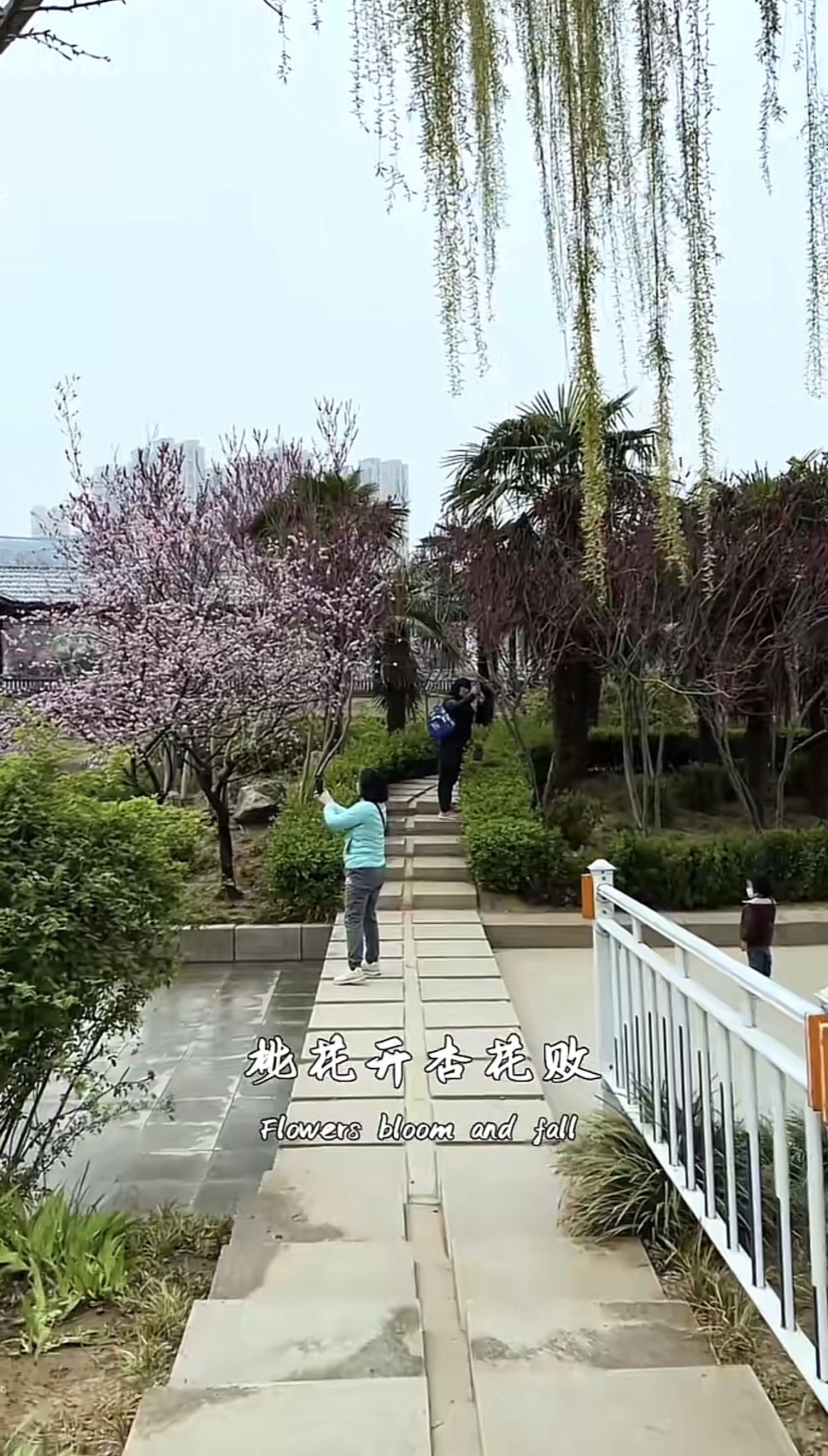 新天地公园旅行图片 2