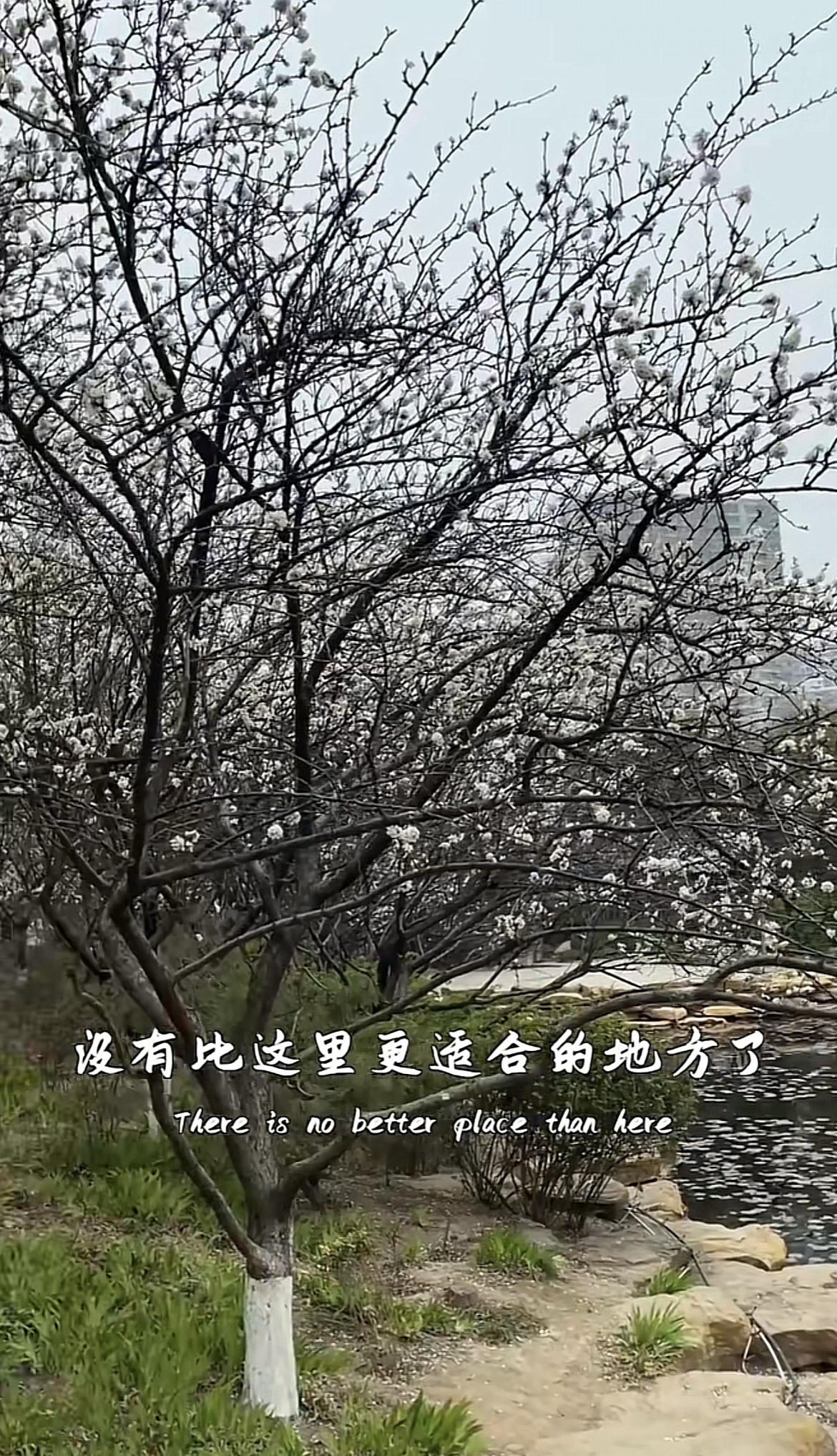 新天地公园旅行图片 3