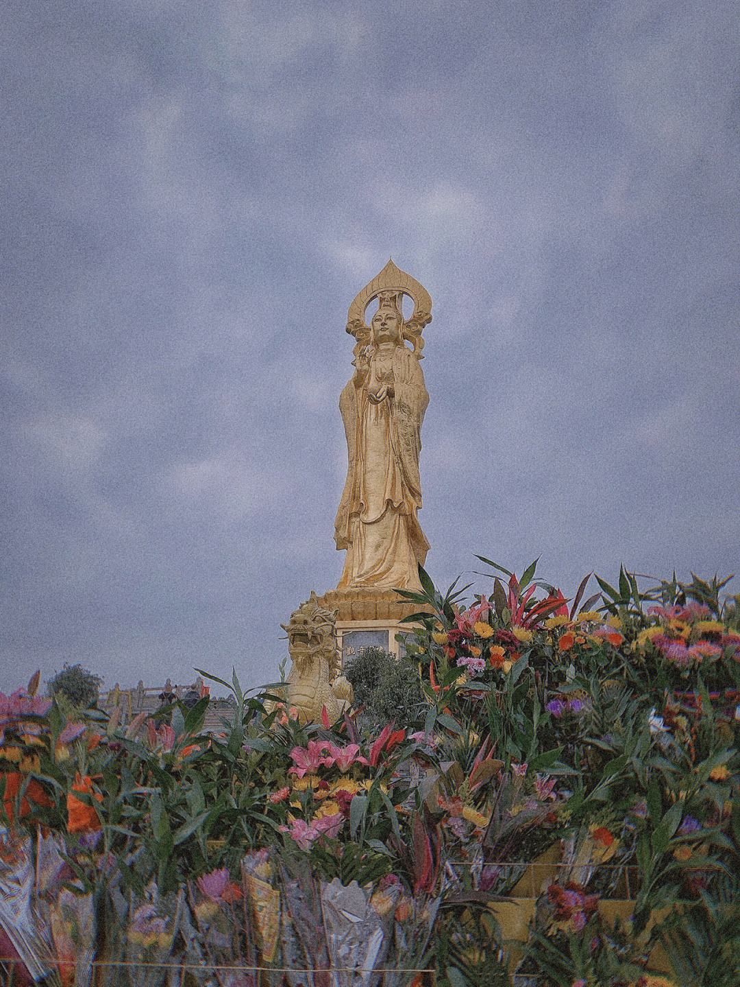 莲花山公园旅行图片 2
