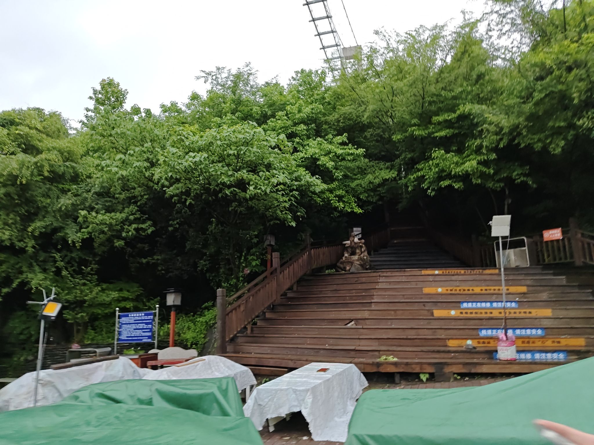 莲花山公园旅行图片 3