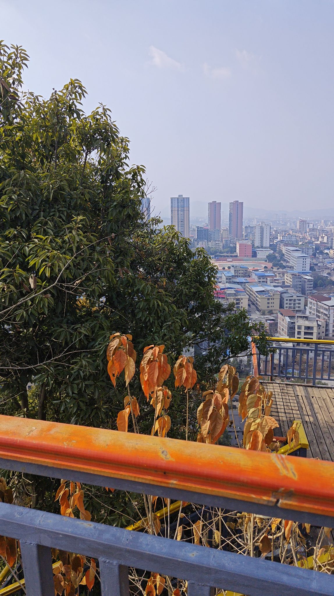 莲花山公园旅行图片 1
