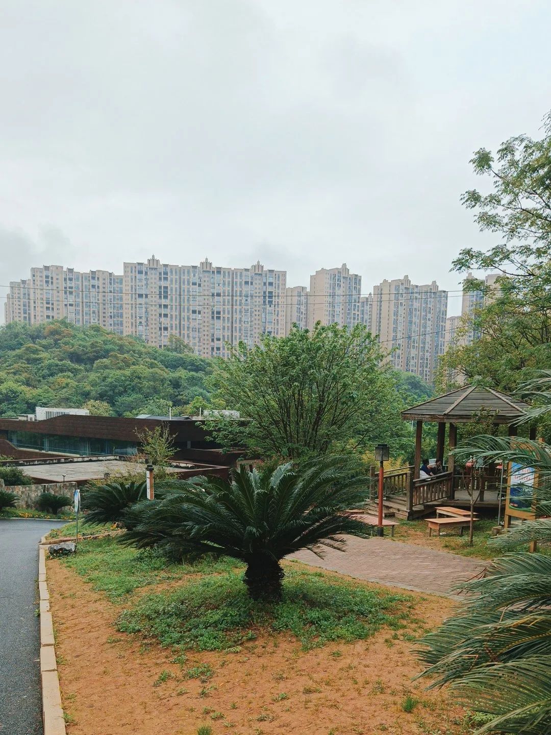 莲花山公园旅行图片 1