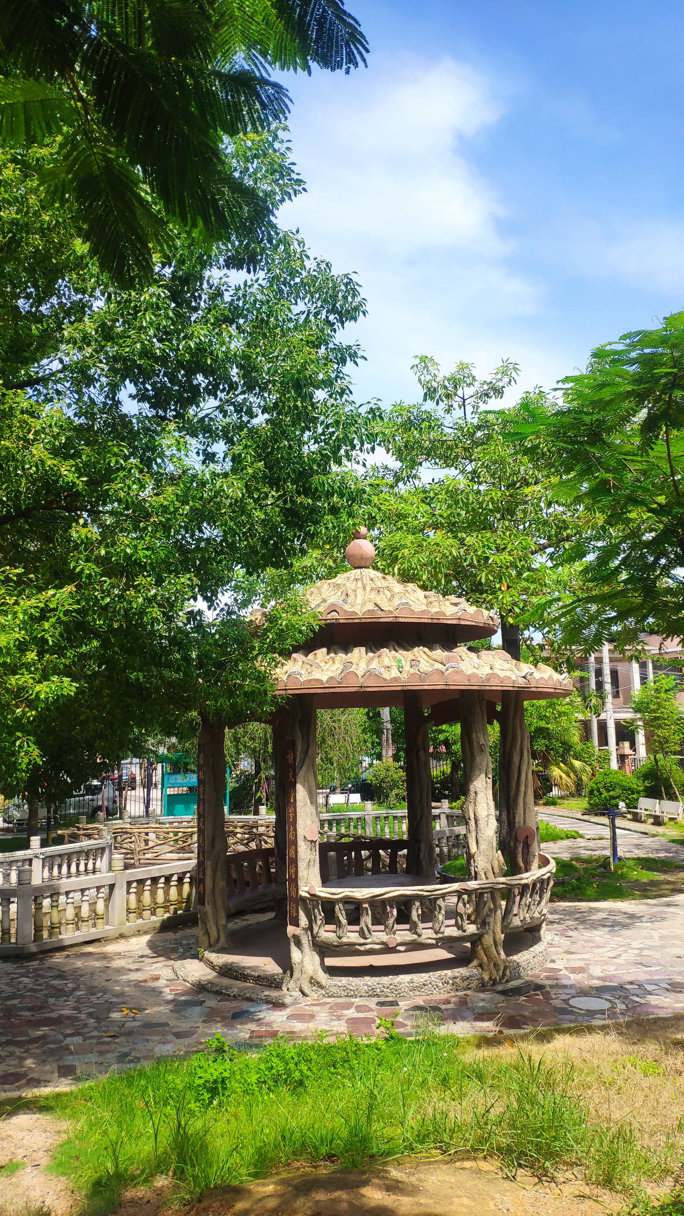 大布文化公园旅行图片 1