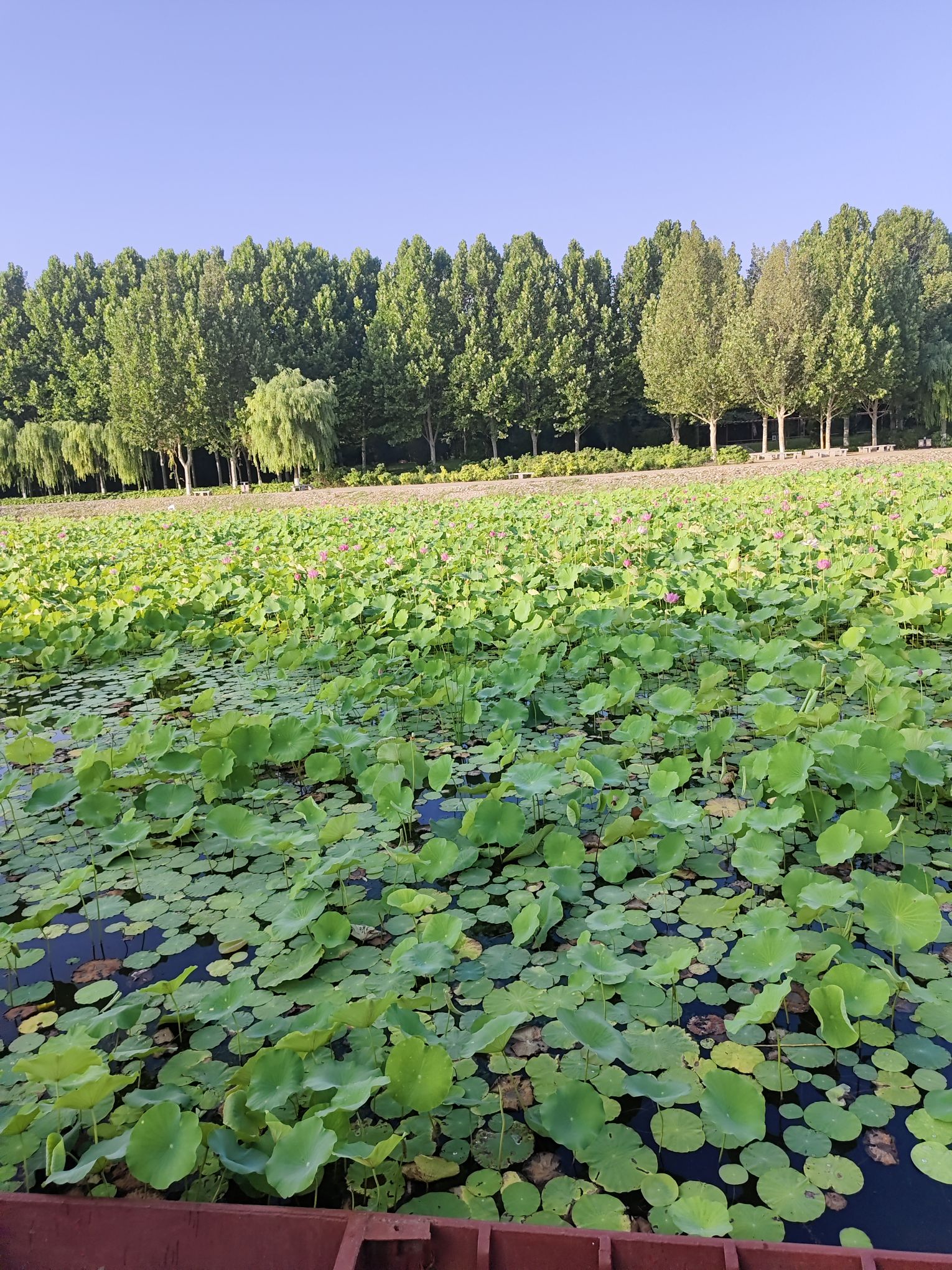 法治文化公园旅行图片 3