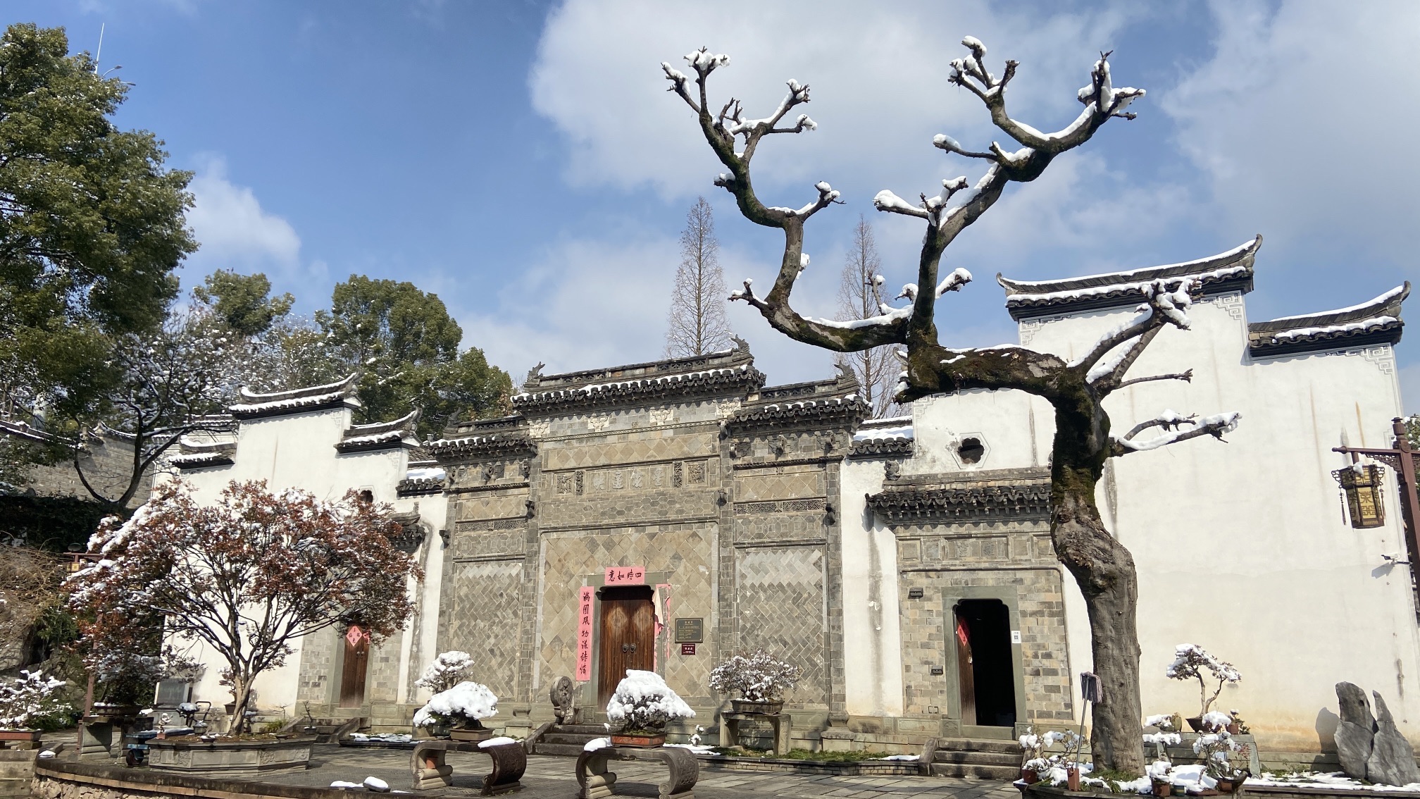 柳青·悦园旅行图片 1