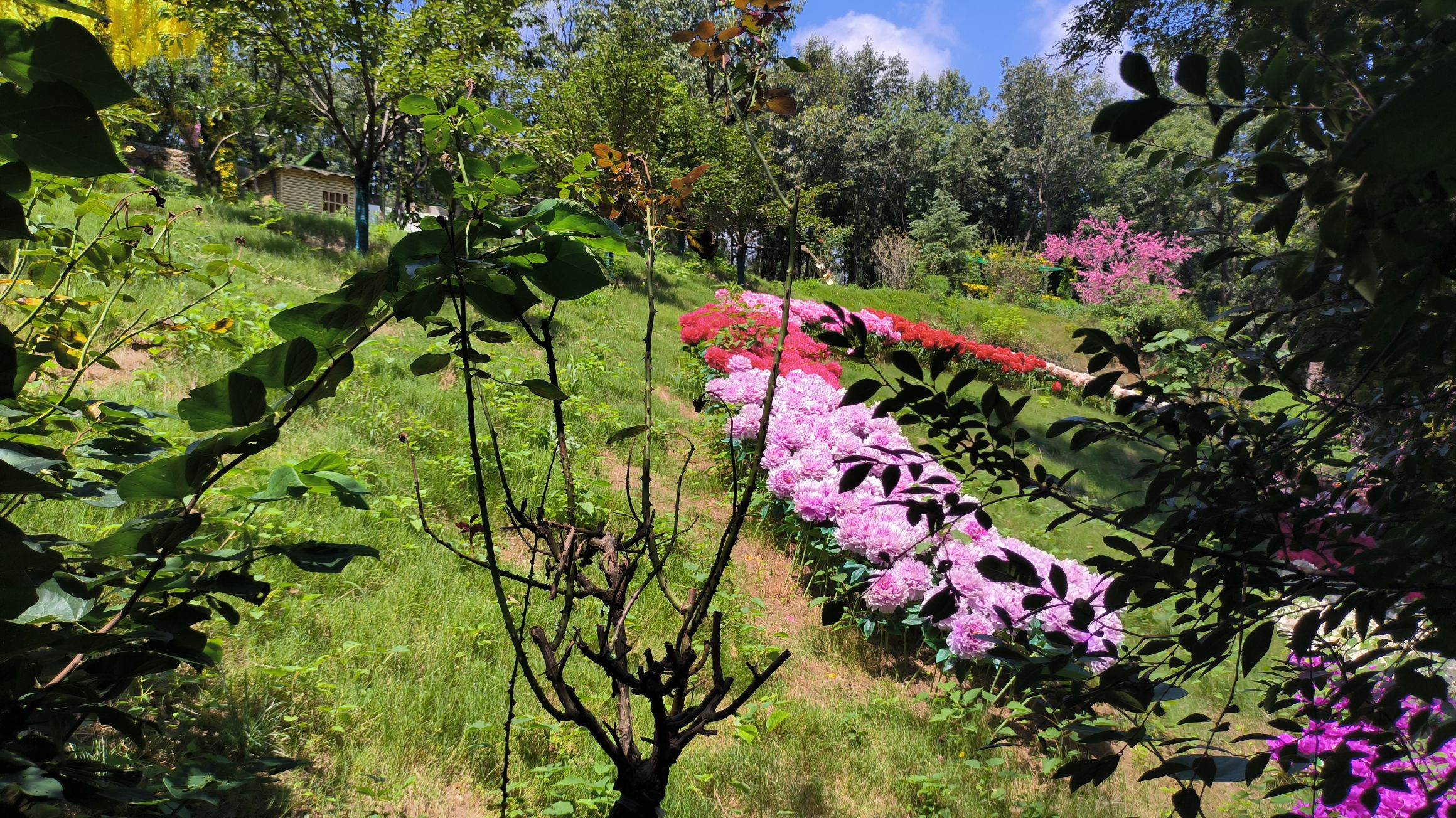 方城县七峰山生态旅游区旅行图片 3