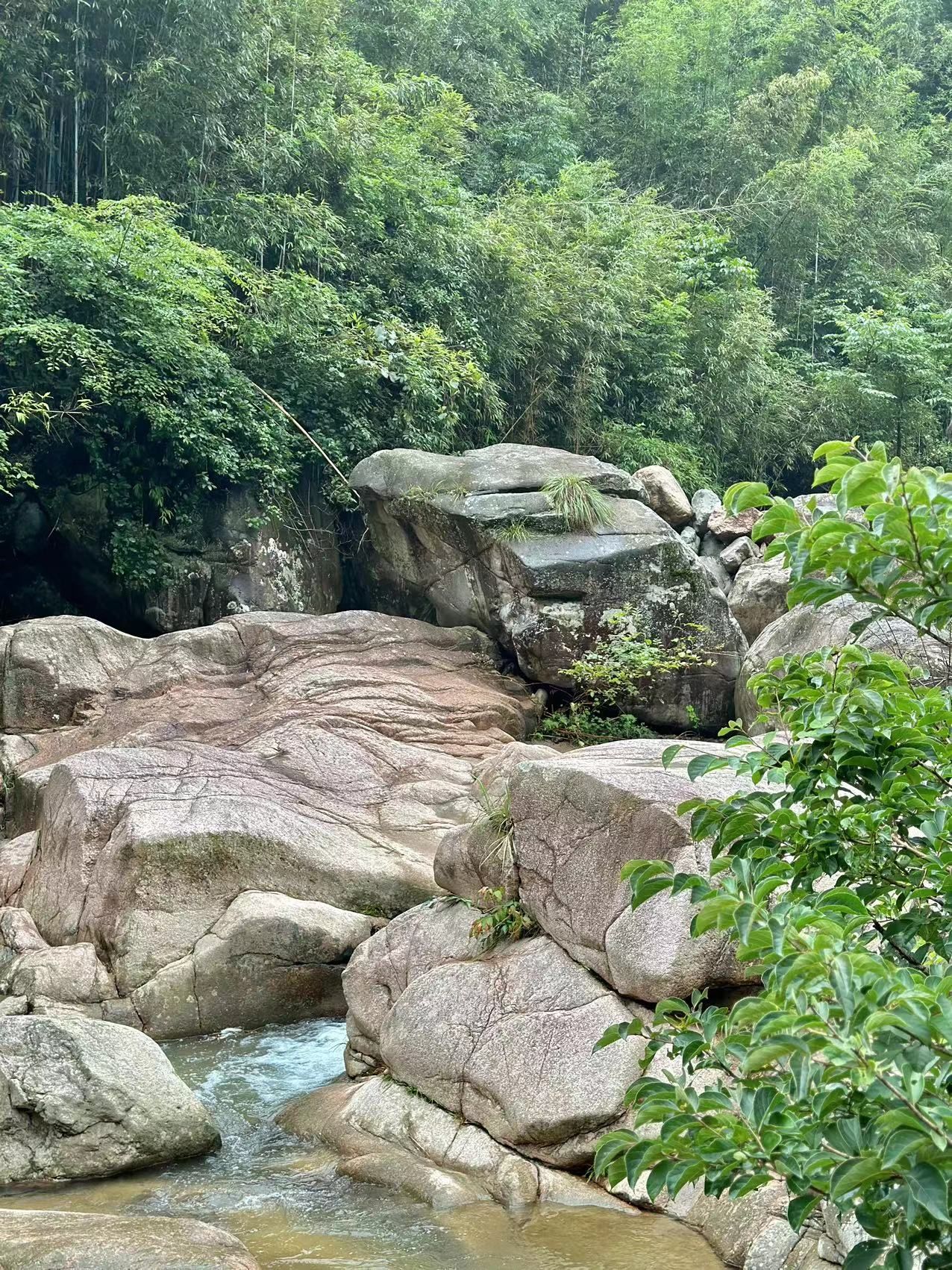 井空里大峡谷旅行图片 3