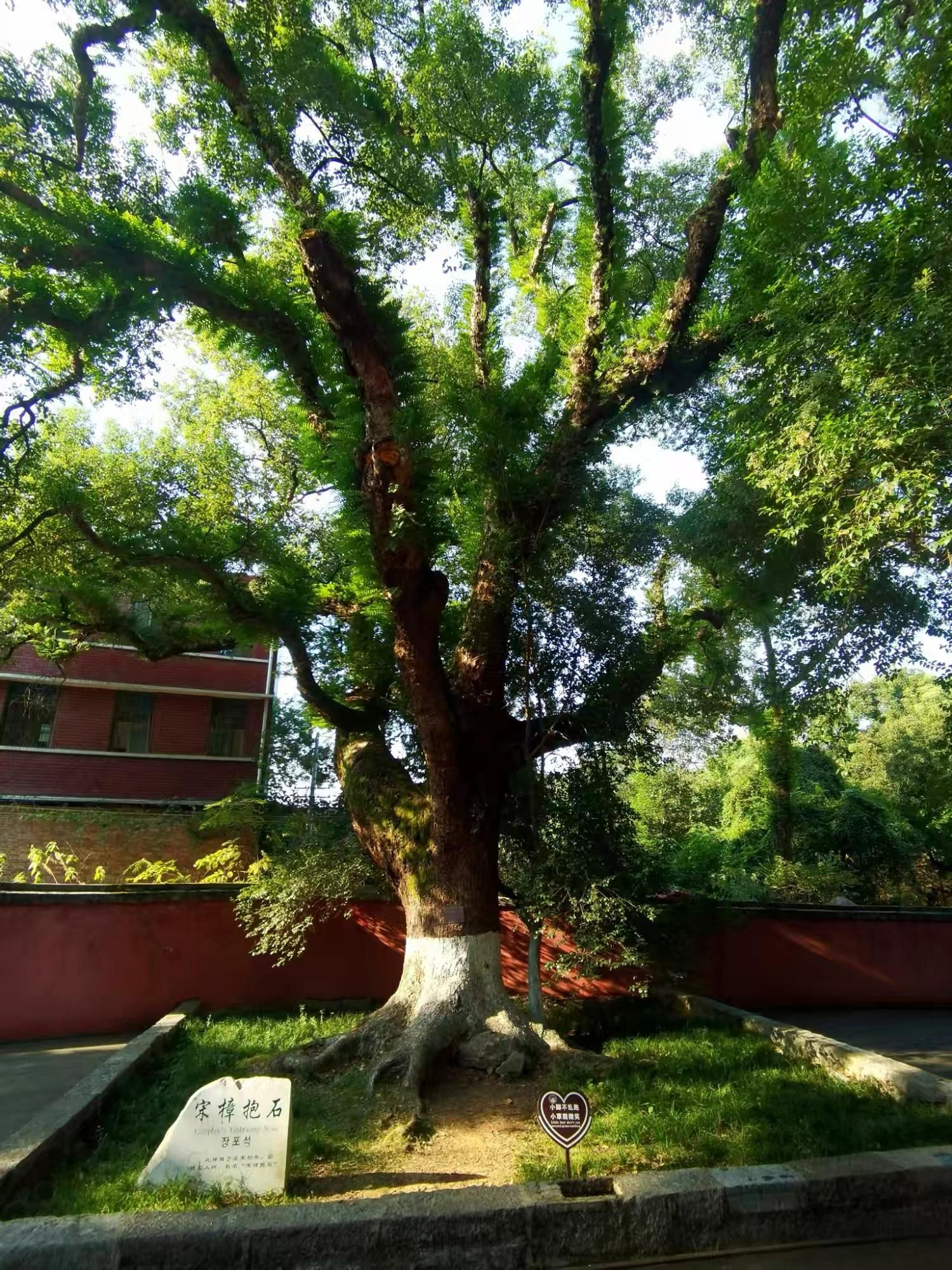 浯溪摩崖石刻旅行图片
