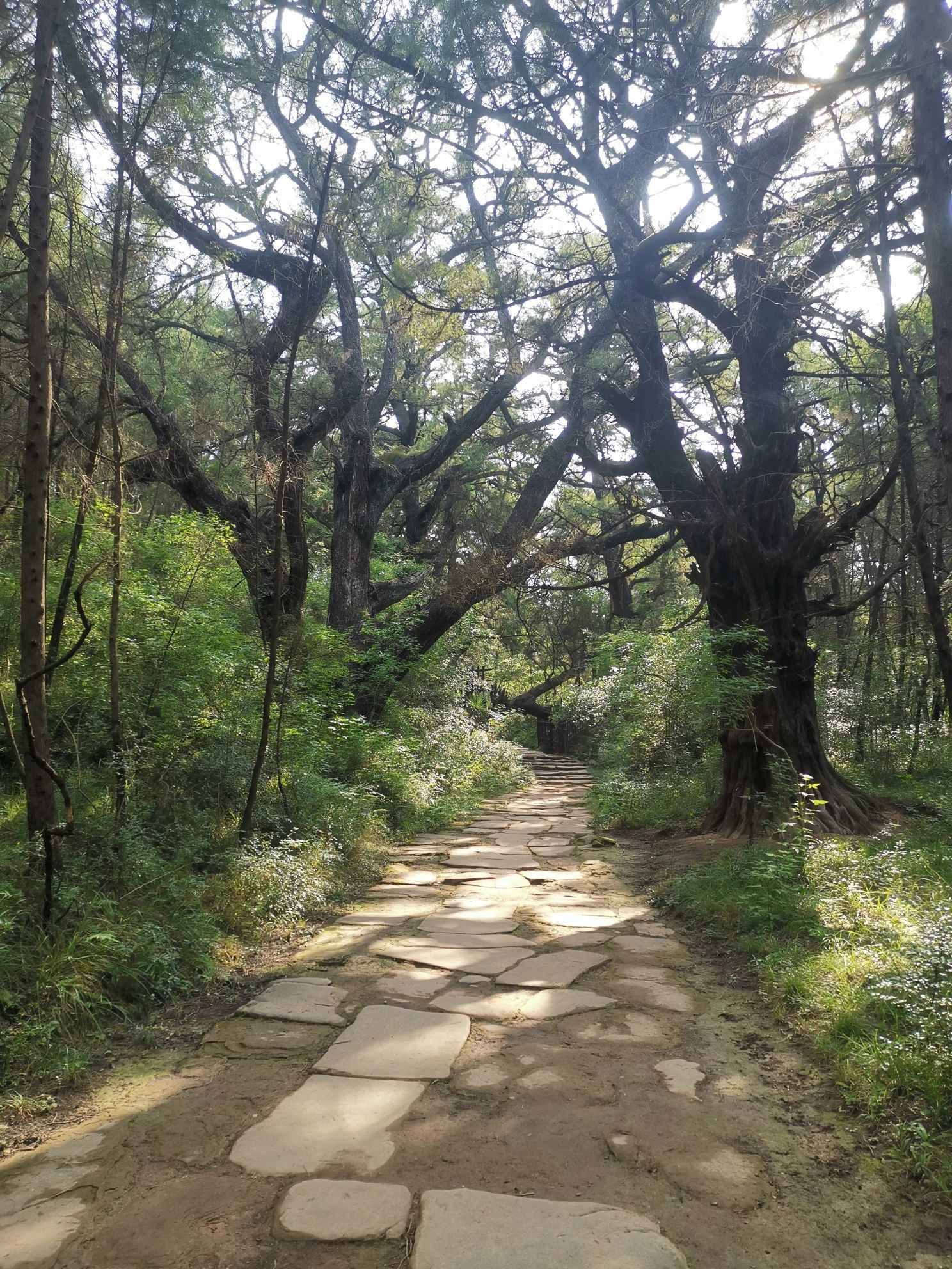 拦马墙旅行图片 3