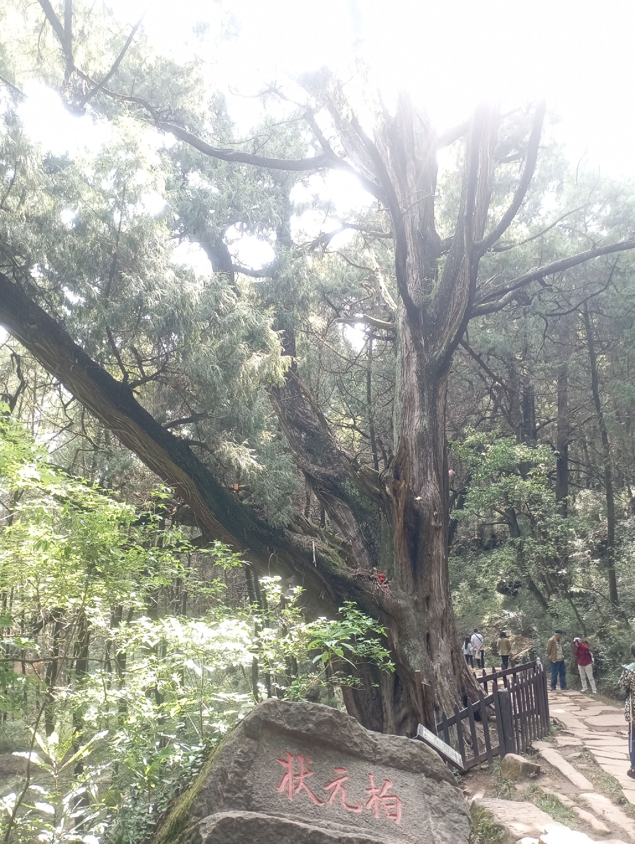 拦马墙旅行图片 2