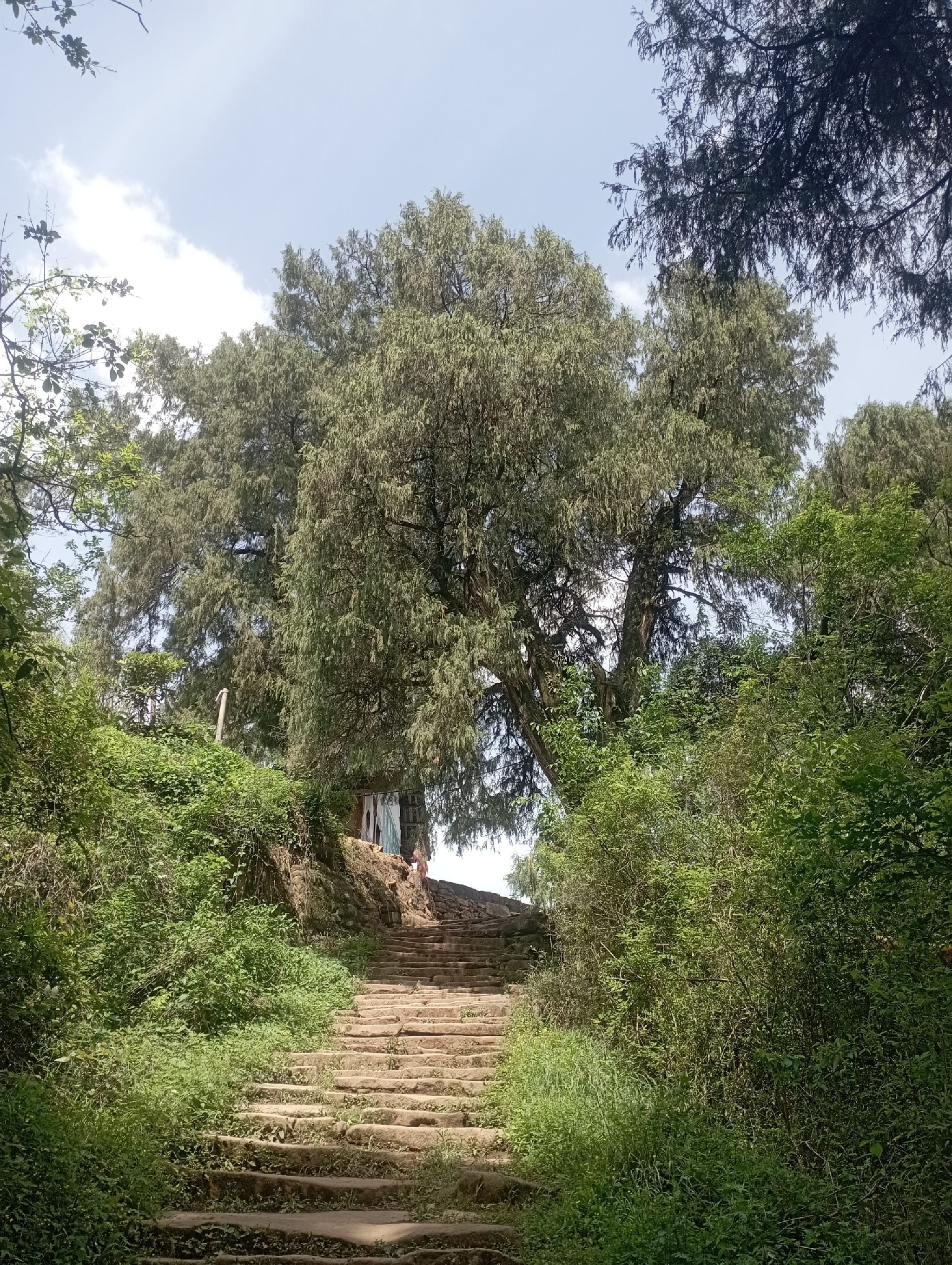 拦马墙旅行图片 3