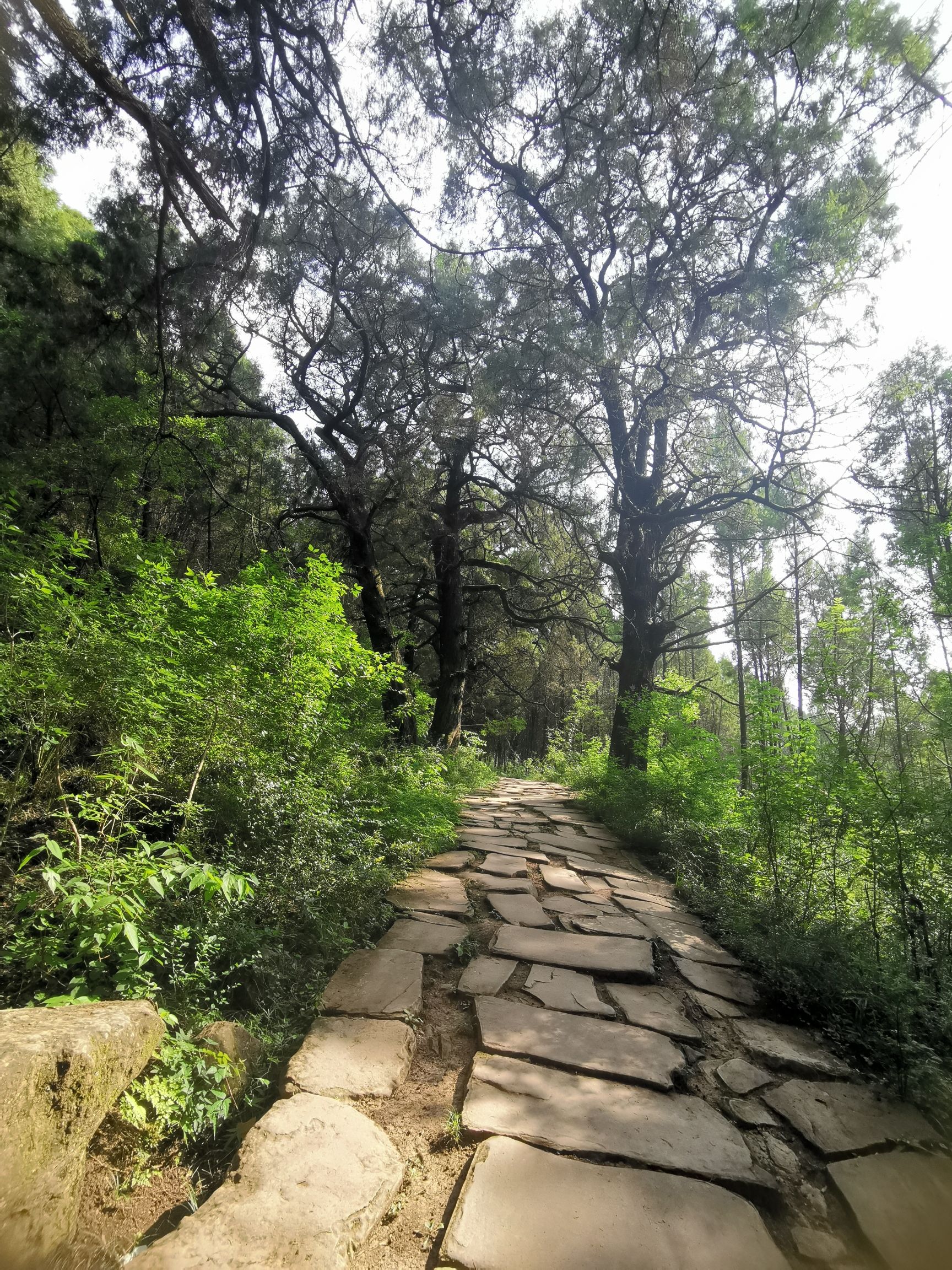 拦马墙旅行图片 2