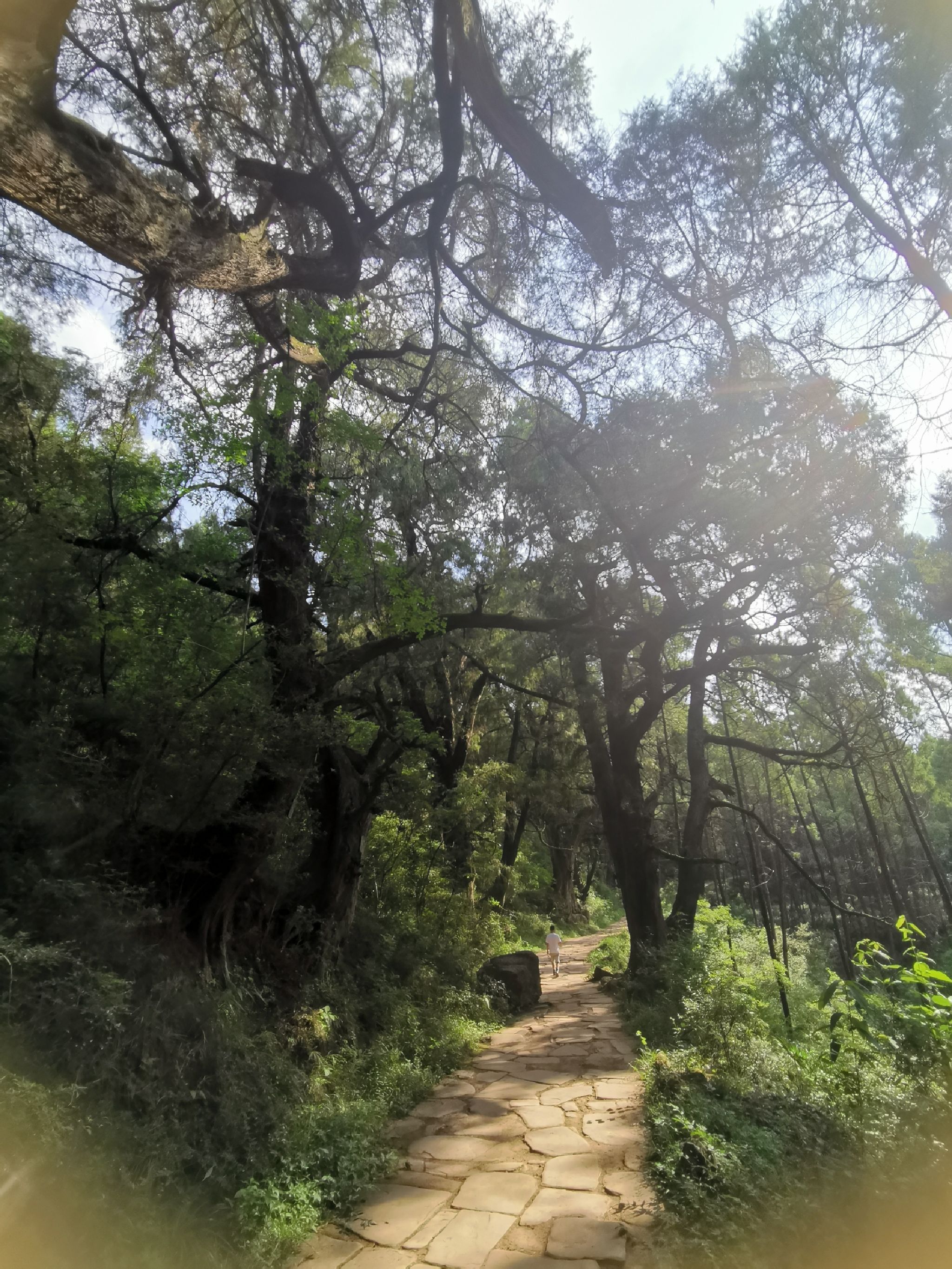 拦马墙旅行图片 1