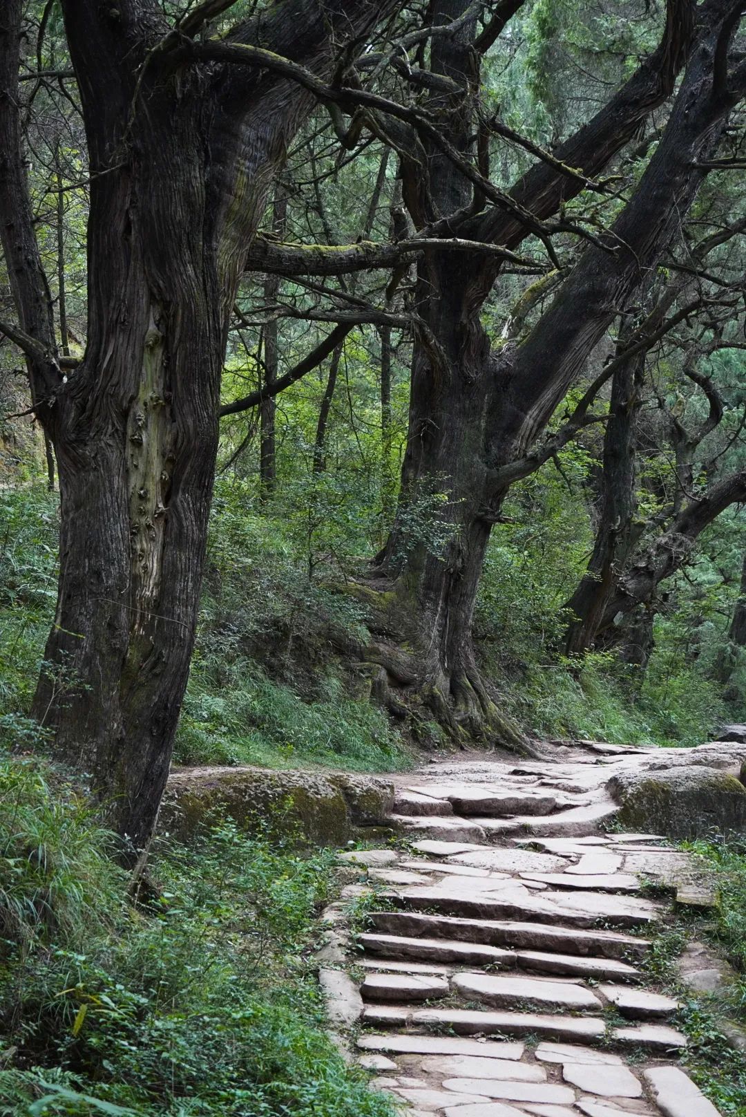 拦马墙旅行图片 1