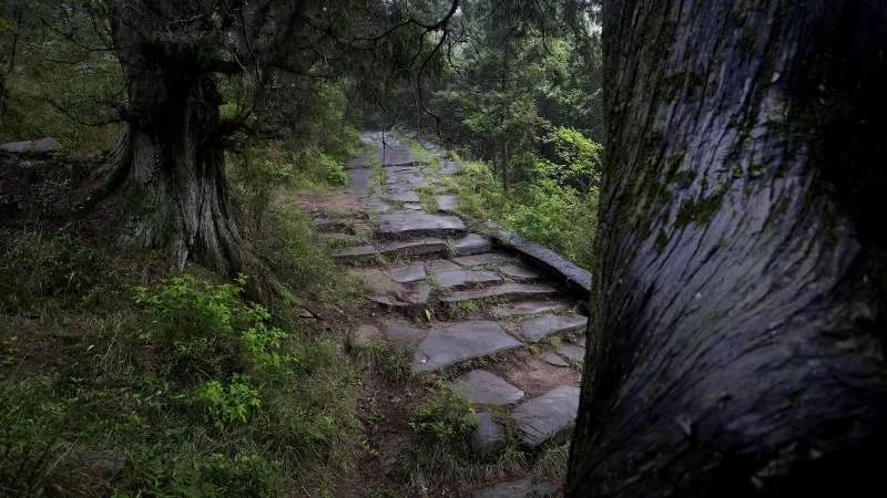 拦马墙旅行图片 3