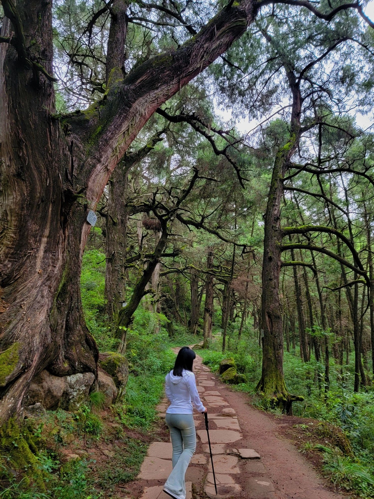 拦马墙旅行图片 2