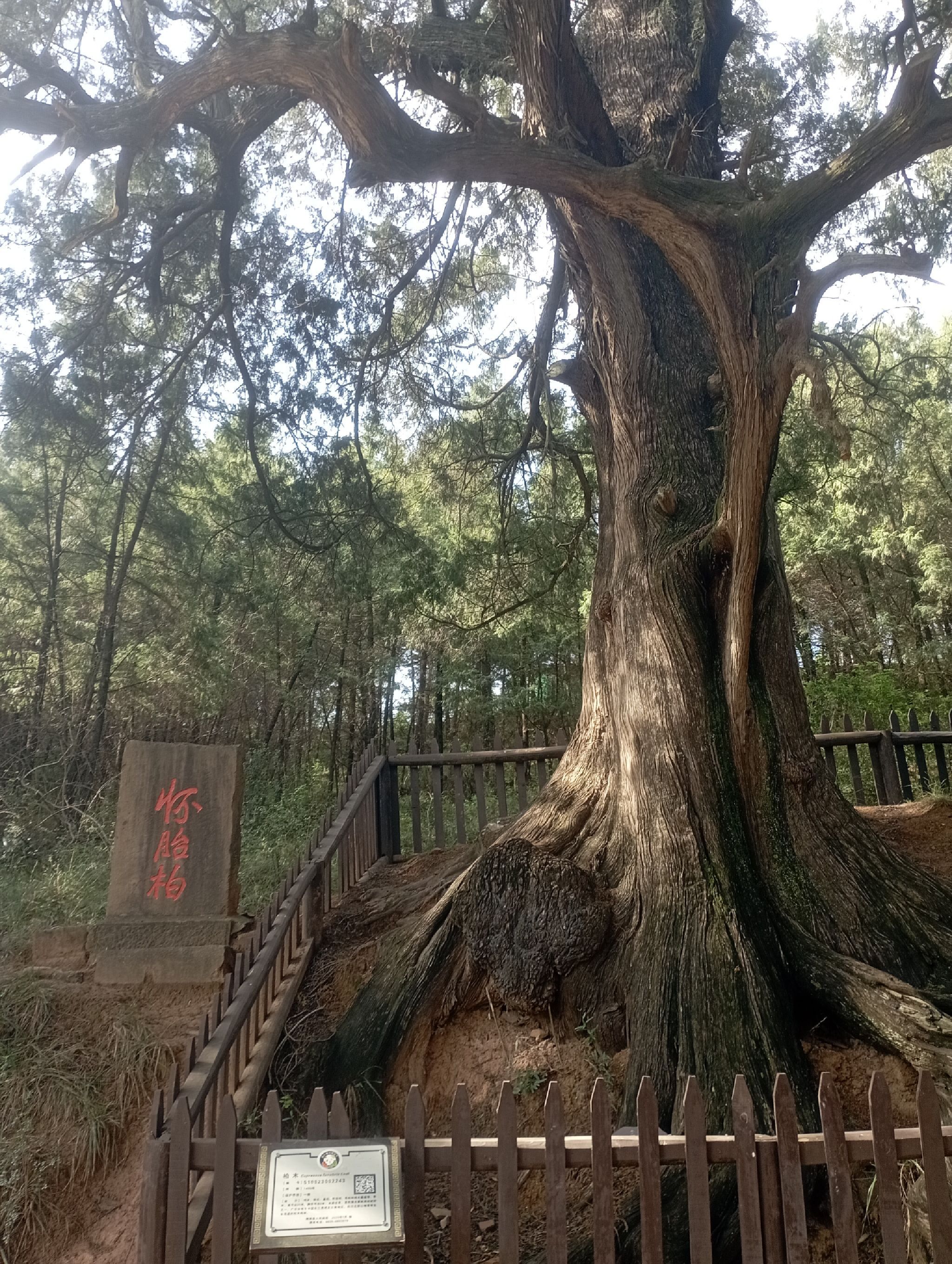 拦马墙旅行图片 1
