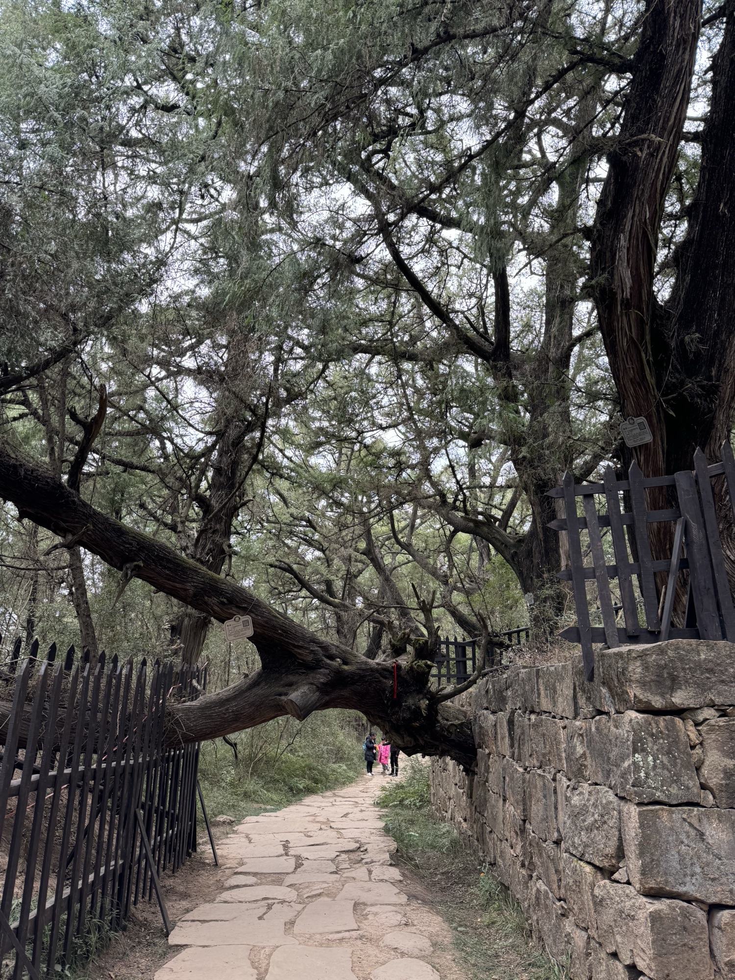 拦马墙旅行图片 1