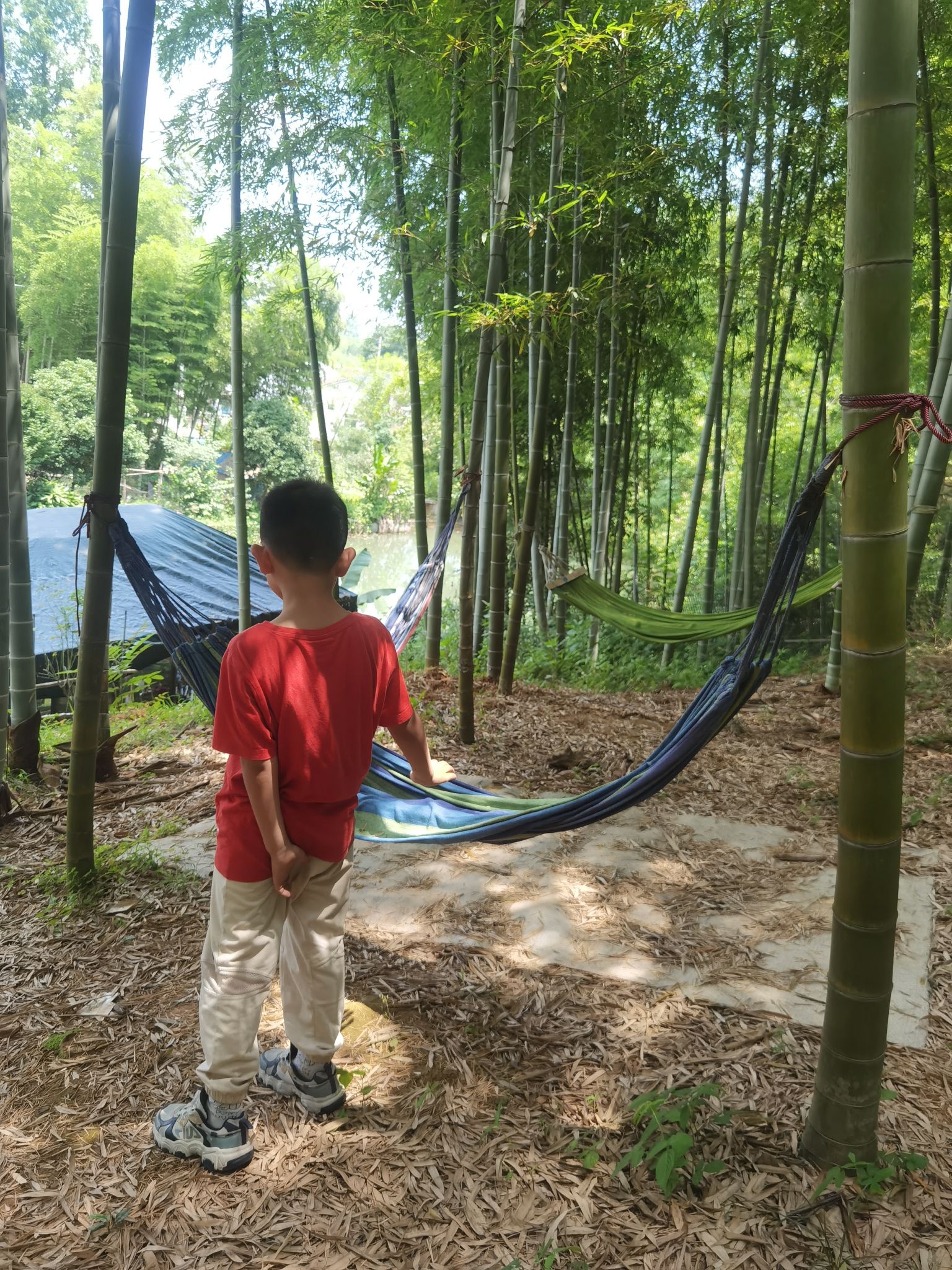 一线天风景区旅行图片 2