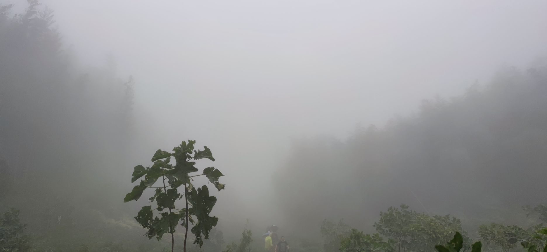 一线天风景区的第3张图片的图片资料