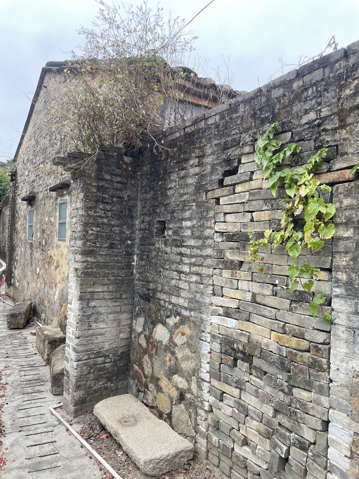 旭日古村旅行图片 2