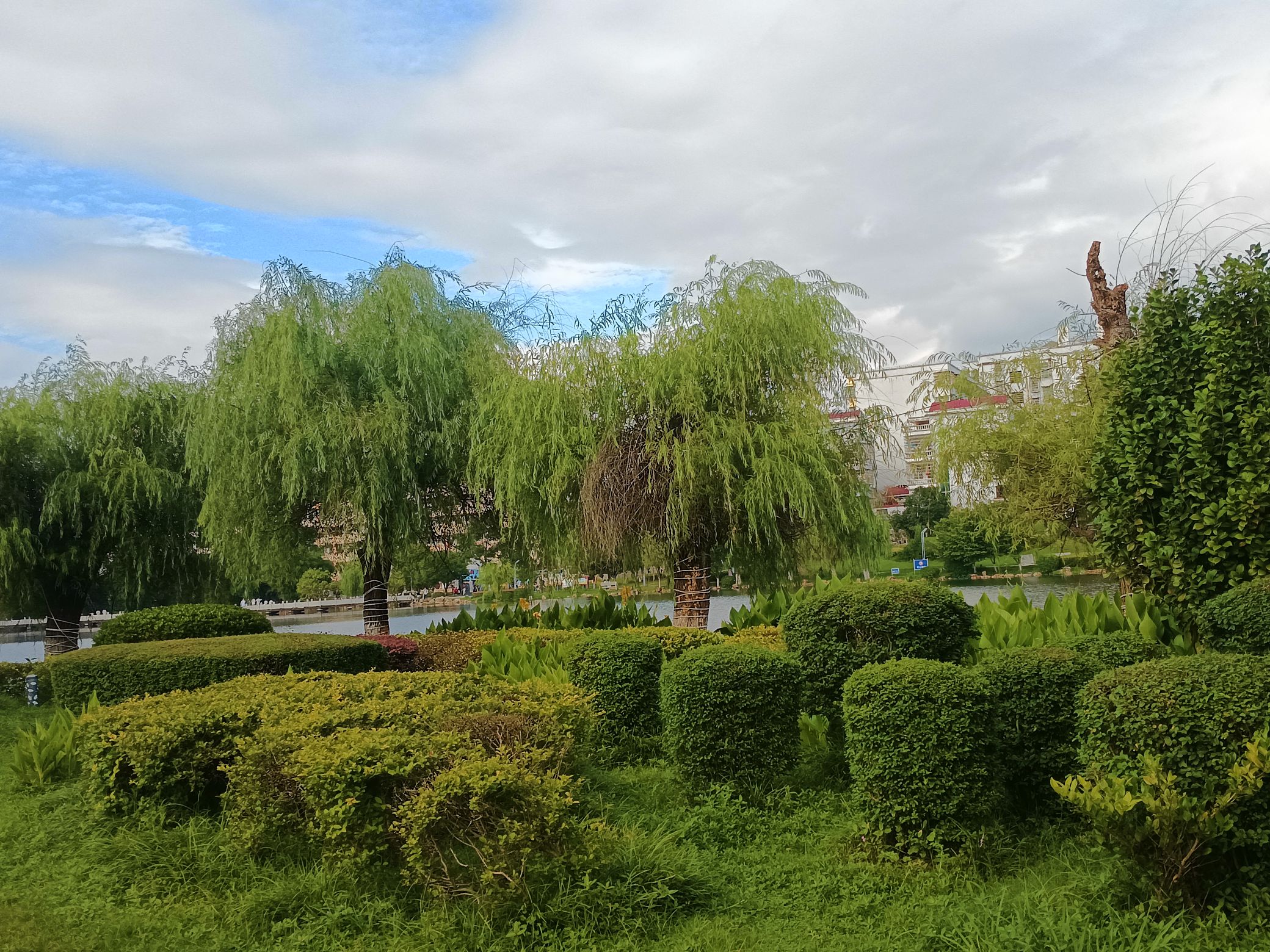 文化公园旅行图片 2