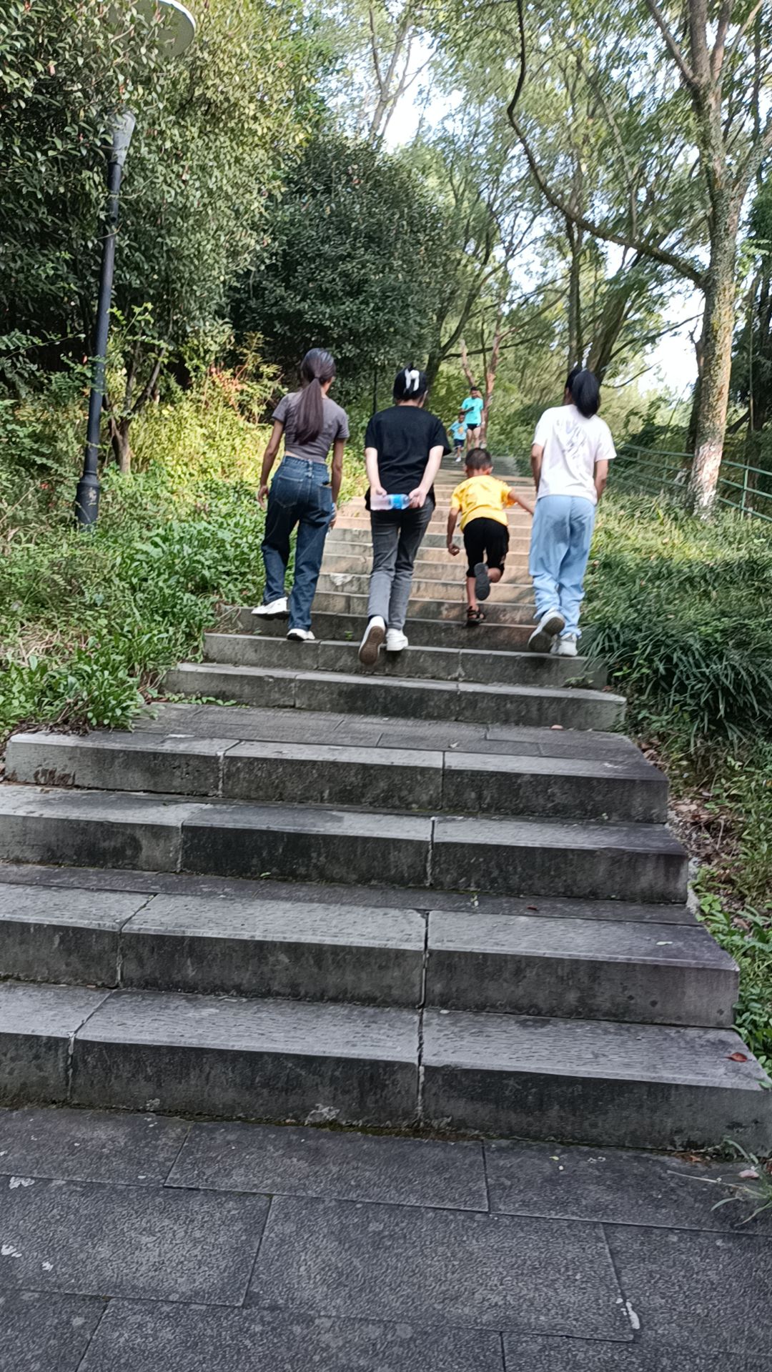 蒙岗岭公园旅行图片 2